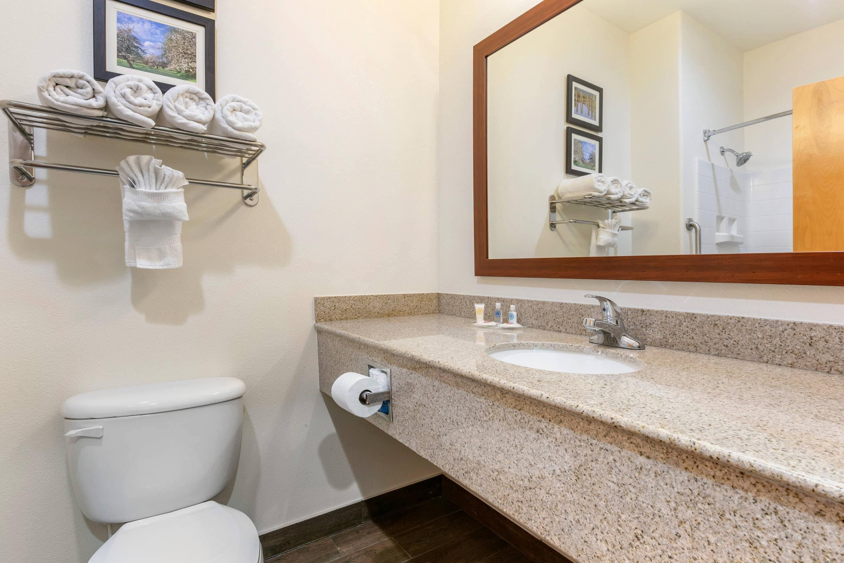 A bathroom with a toilet, sink, towel rack, and a large mirror.