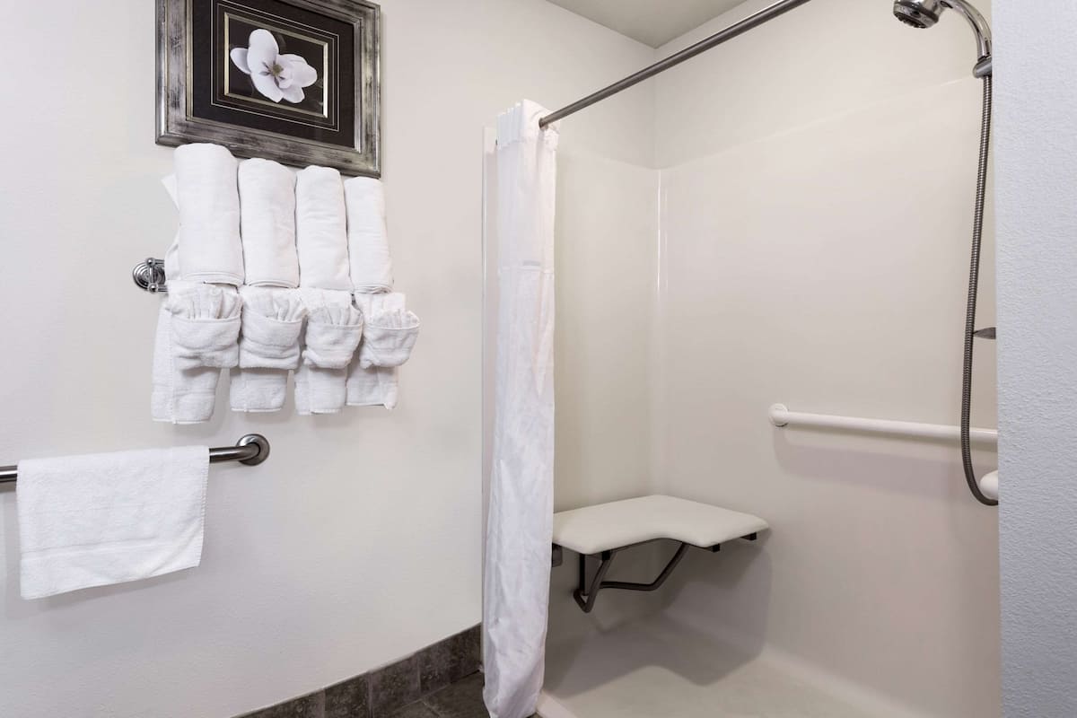 Room, 1 King Bed, Accessible, Non Smoking (Mobility, Roll-In Shower) | Bathroom | Free toiletries, hair dryer, towels