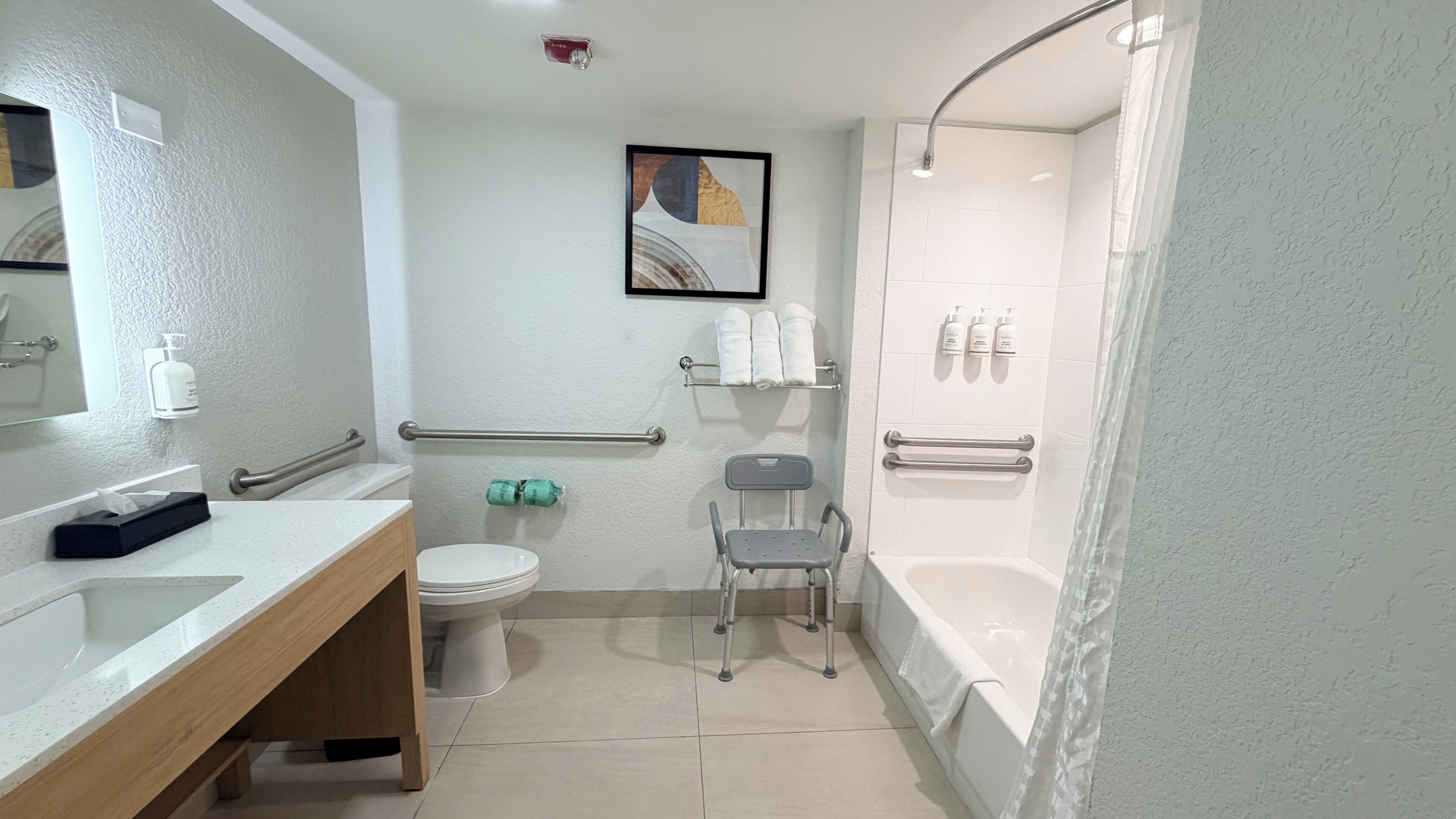 Room, 1 King Bed, Accessible, Non Smoking (Mobility, Tub w/ Grab Bars) | Bathroom | Free toiletries, hair dryer, towels