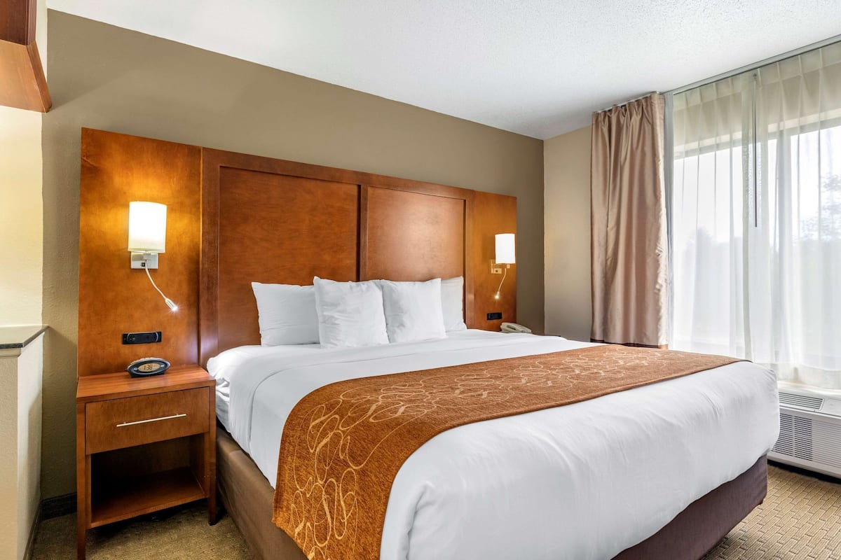 Suite, 1 King-Bett und Schlafsofa, Nichtraucher