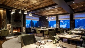 Un restaurant doté d’une cheminée, d’un plafond en bois et de grandes fenêtres offrant une vue sur les arbres.