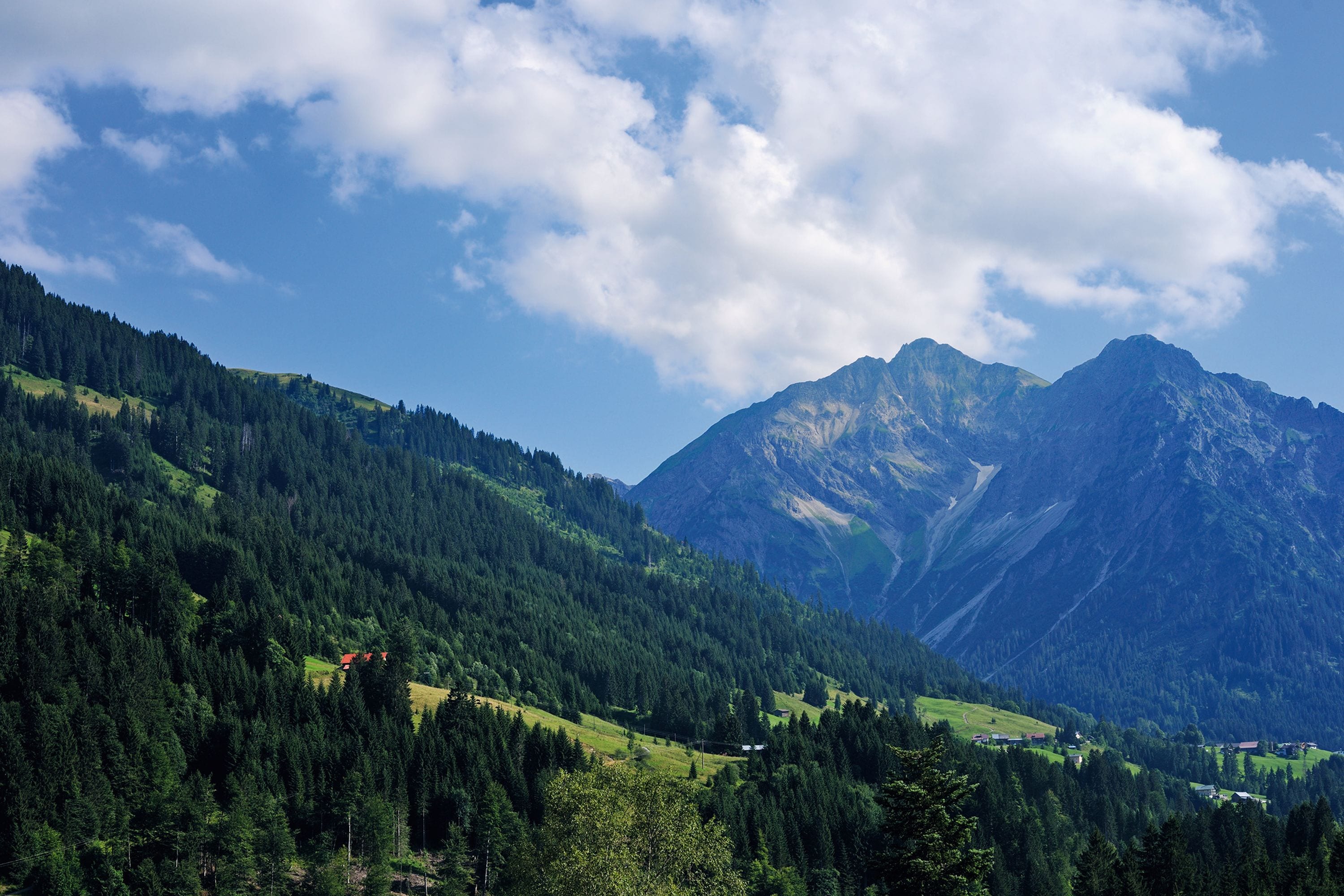 family room, 1 bedroom, non smoking | mountain view