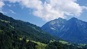 A mountainous landscape with dense forests and a clear sky.