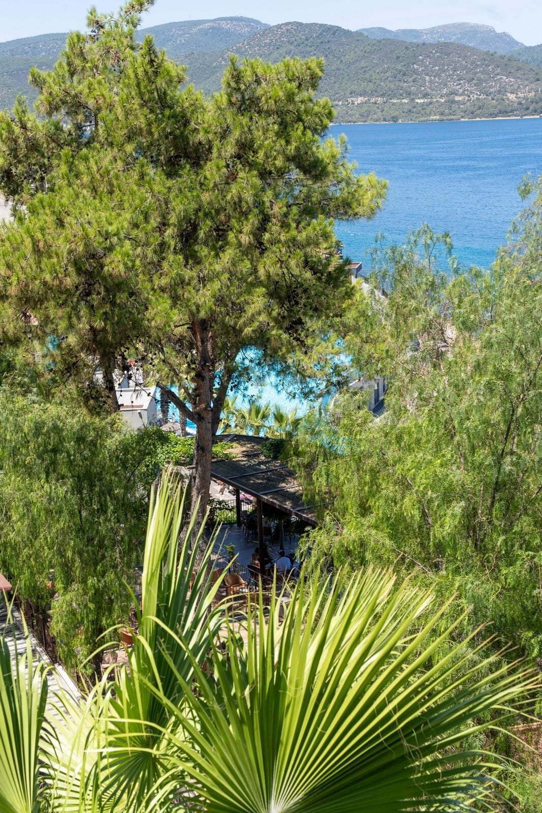 A tree-lined outdoor seating area with a view of the sea and hills in the background.