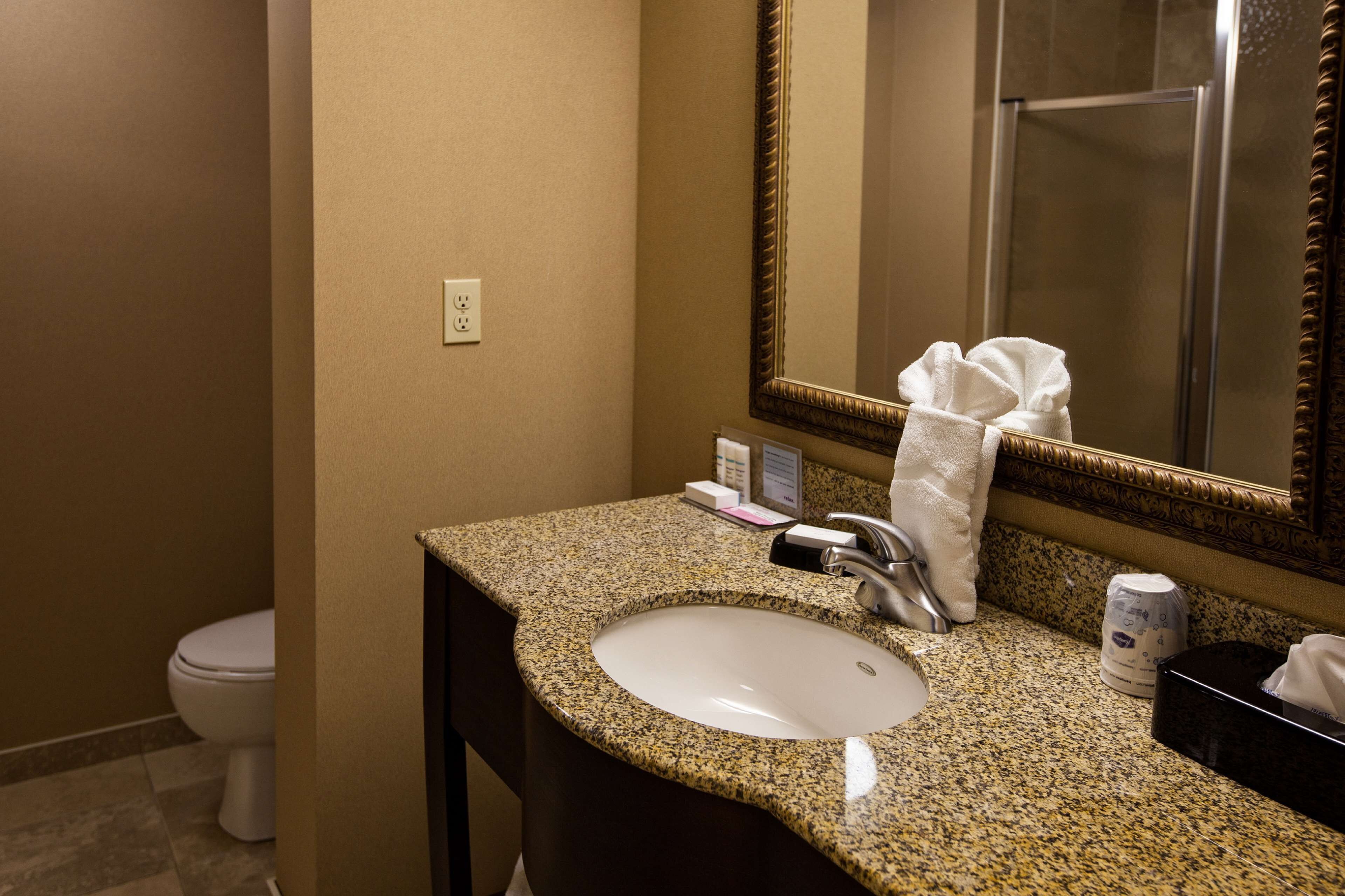 room, 1 king bed, accessible, non smoking | bathroom | shower, hair dryer, towels, soap