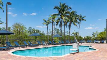 A swimming pool with lounge chairs and umbrellas, surrounded by palm trees.