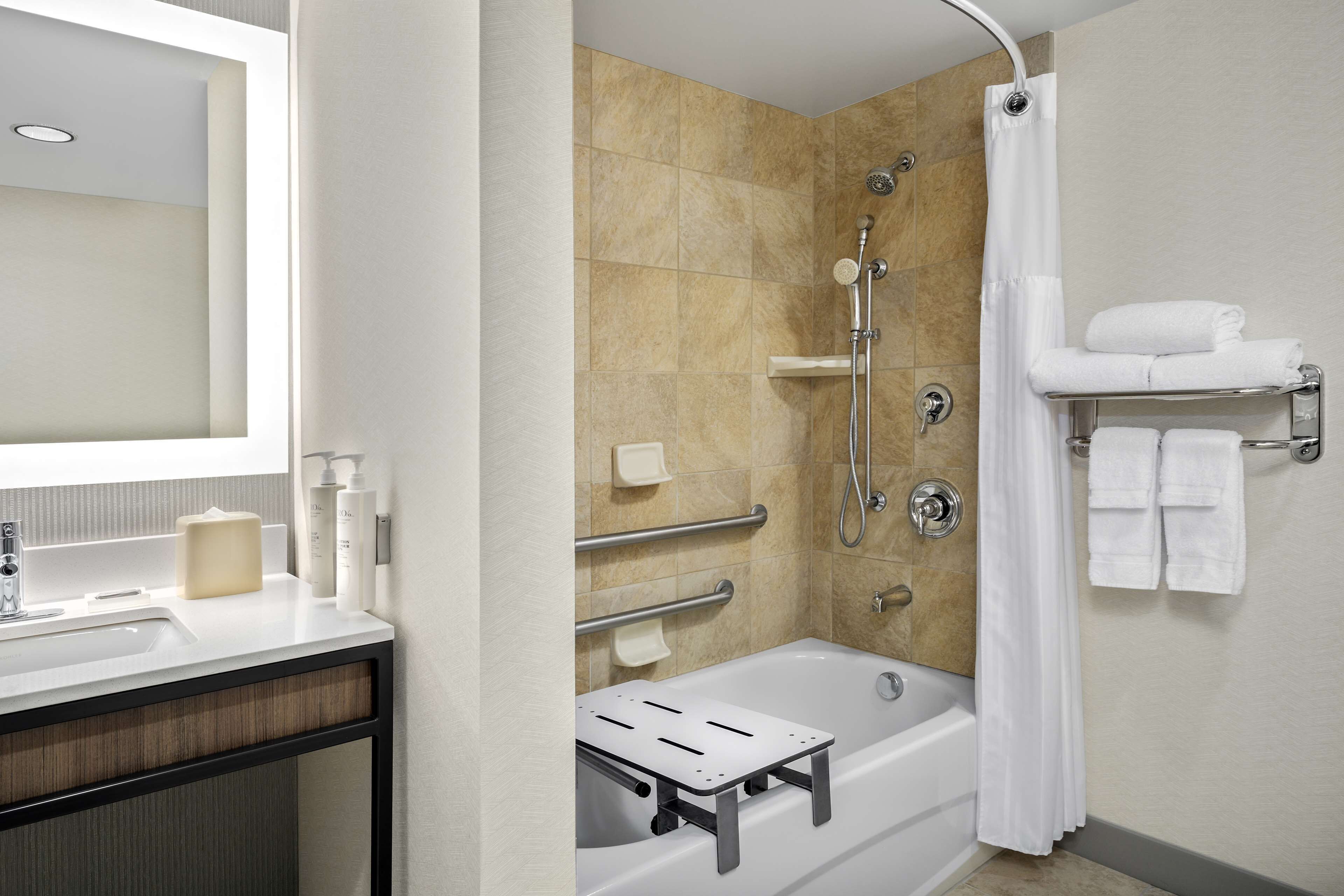 1 king 1 bedroom deluxe suite | bathroom shower