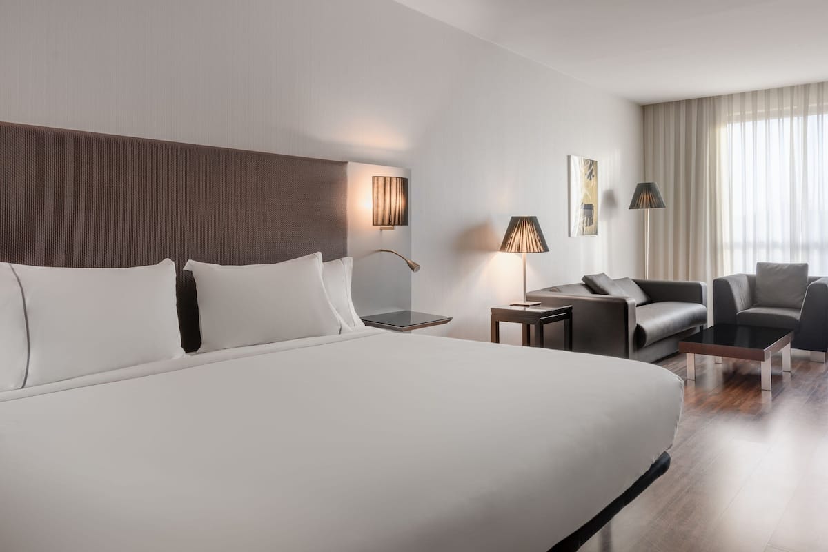 Una habitación de hotel moderna con una cama grande, un escritorio, una silla y un sofá.