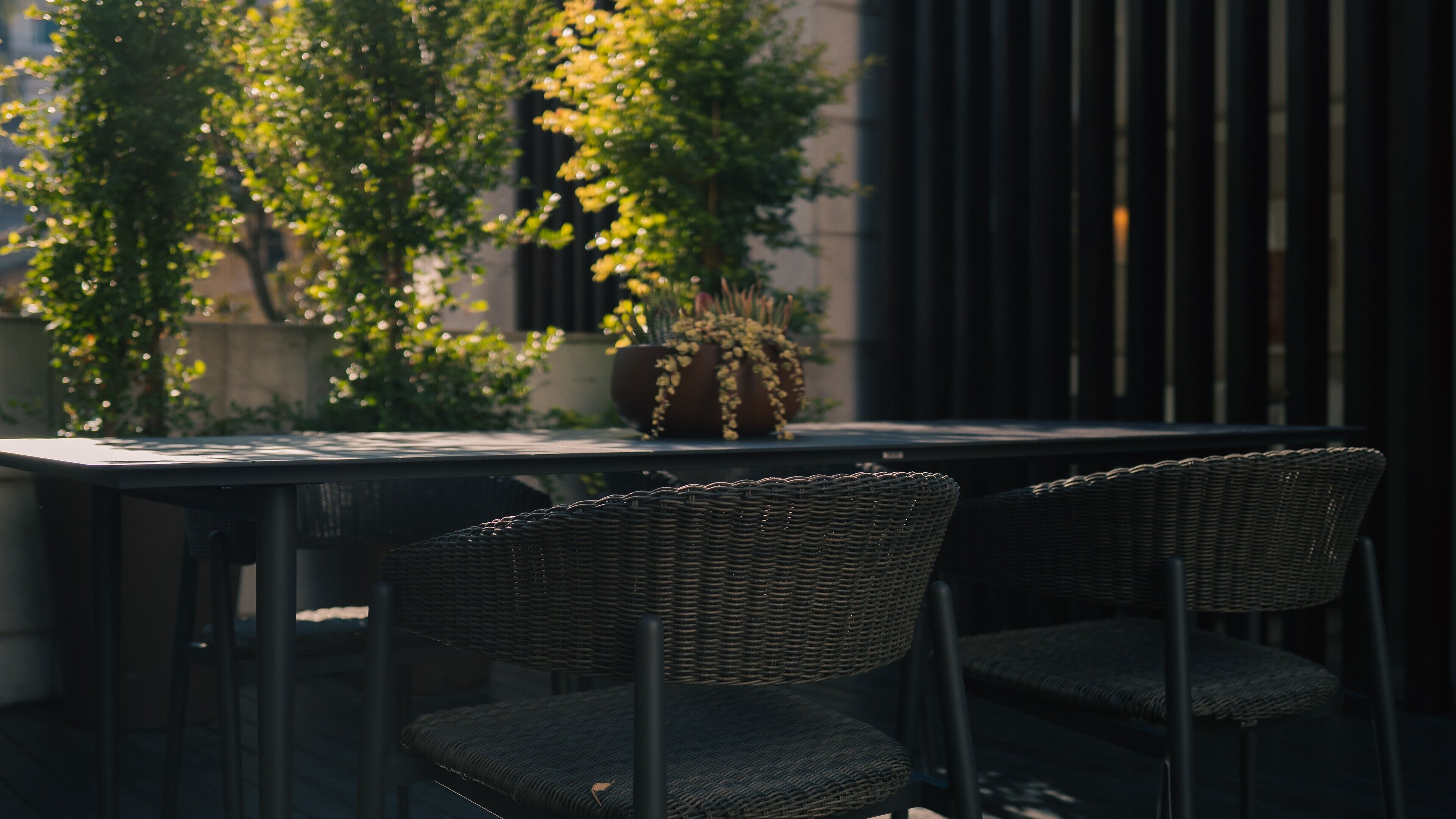 A table with two wicker chairs, a potted plant, and a view of a building with vertical lines.