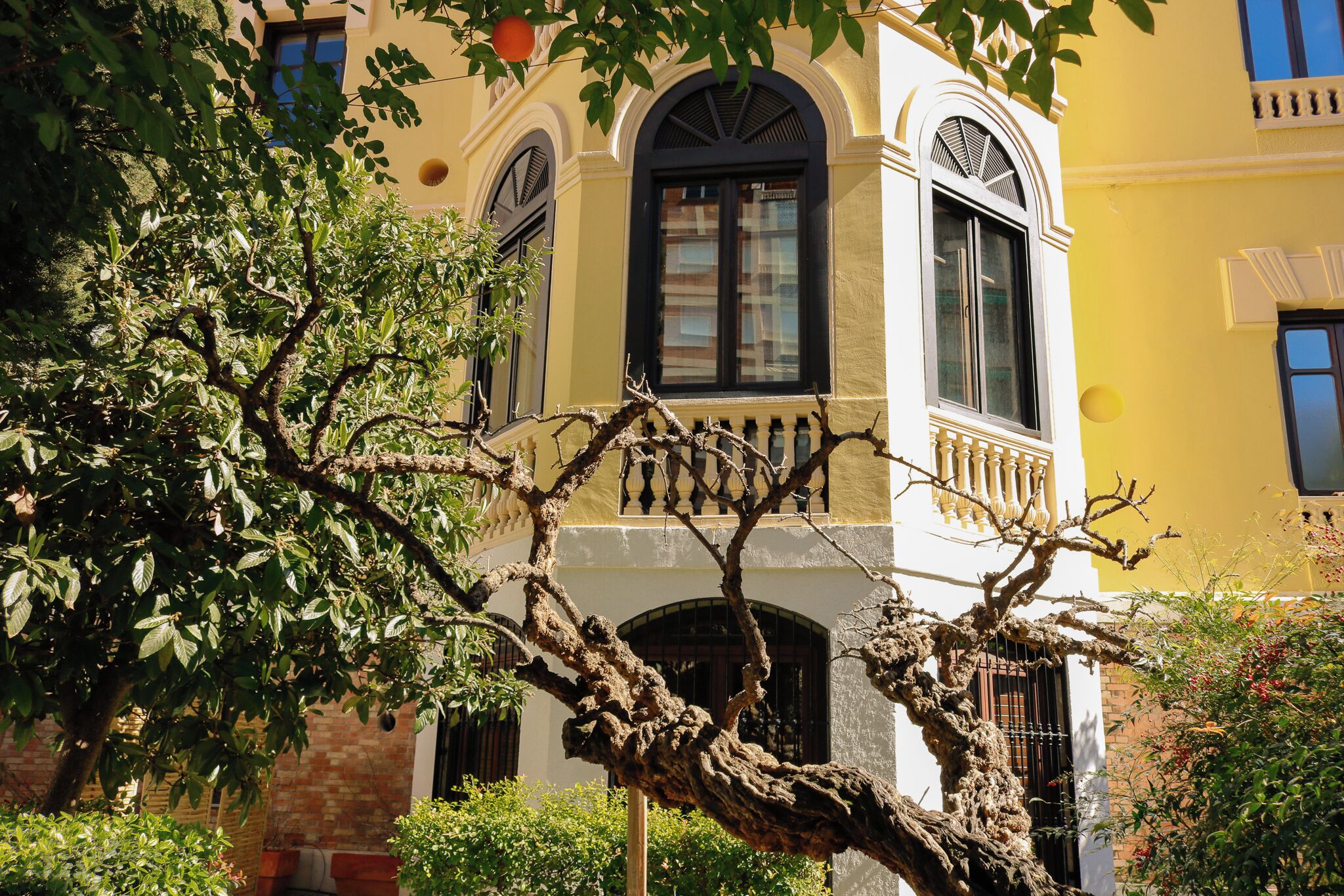 A building with arched windows, a balcony with balustrades, and a tree in the foreground.