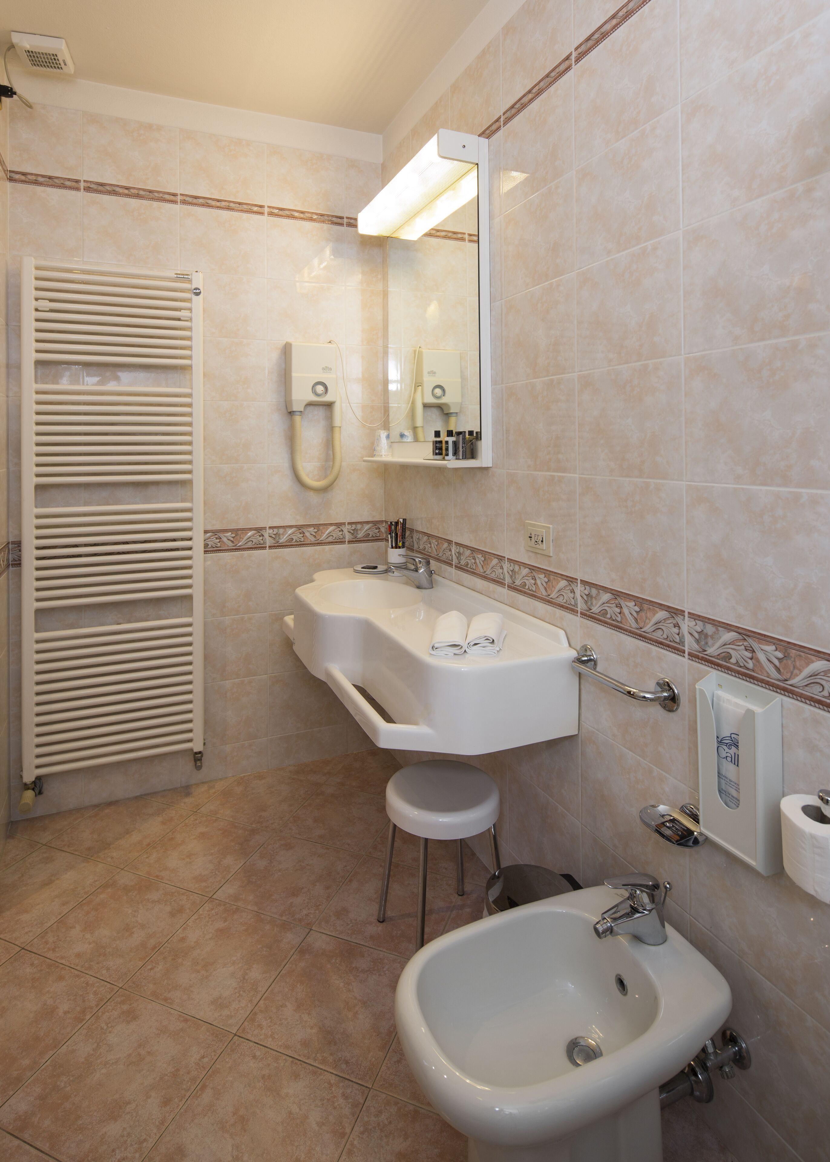 deluxe double room | bathroom | shower, hair dryer, bidet, towels