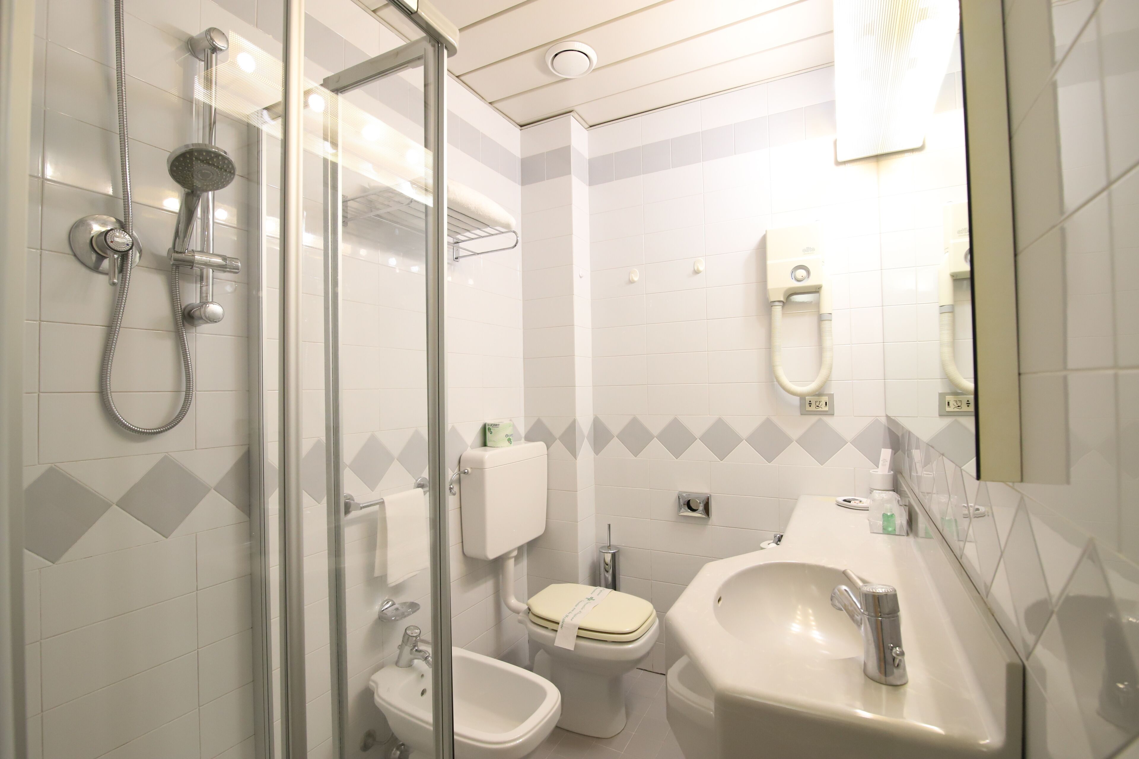 shower, hair dryer, bidet, towels