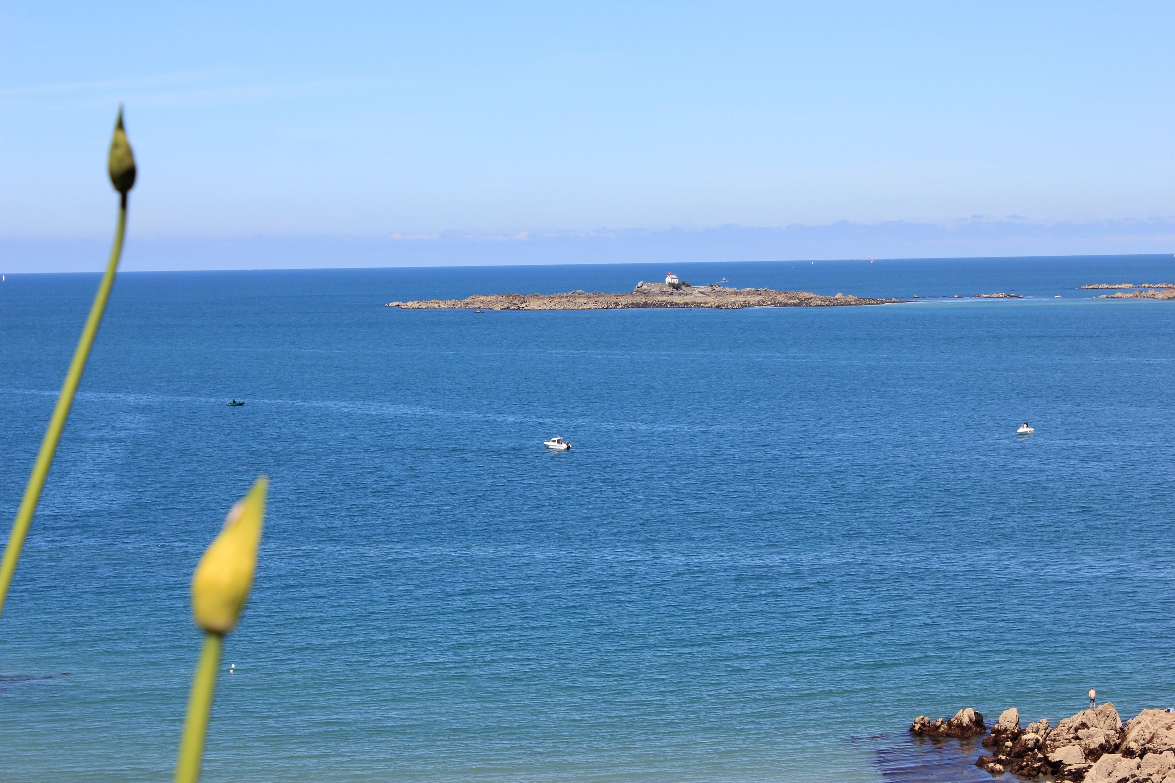 Vista desde la propiedad