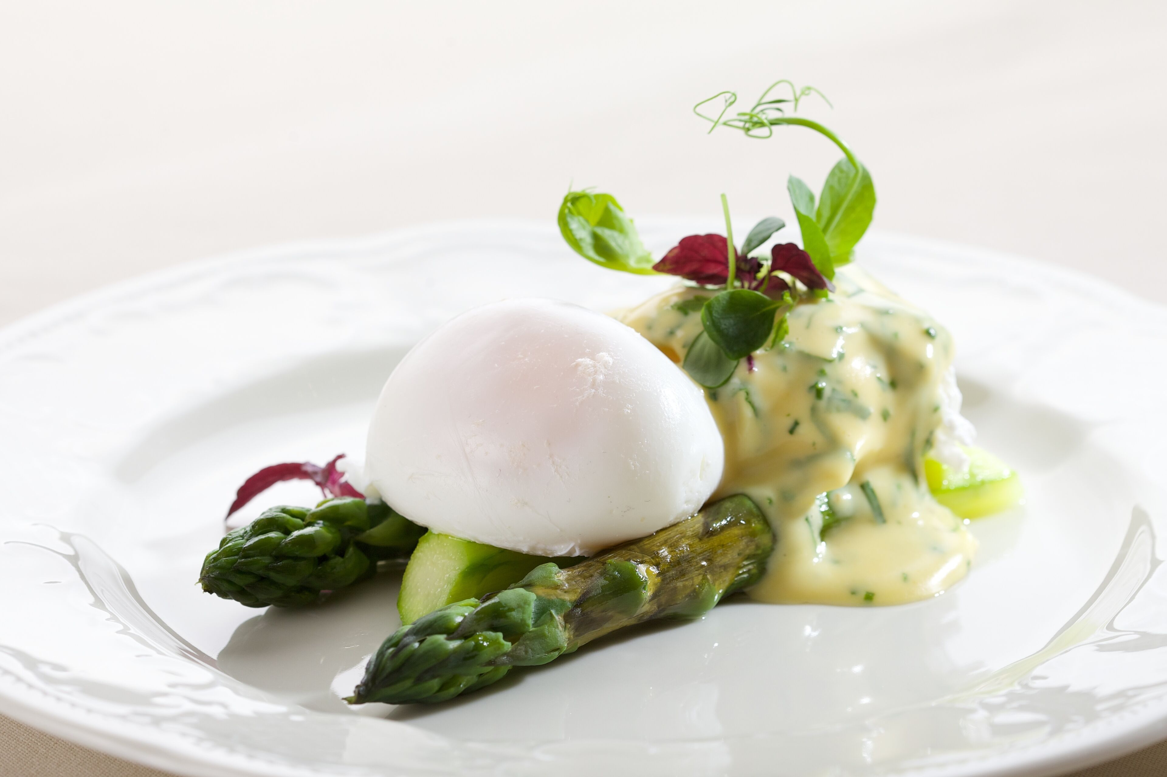 A white plate with a poached egg, asparagus, and a green sauce garnish.