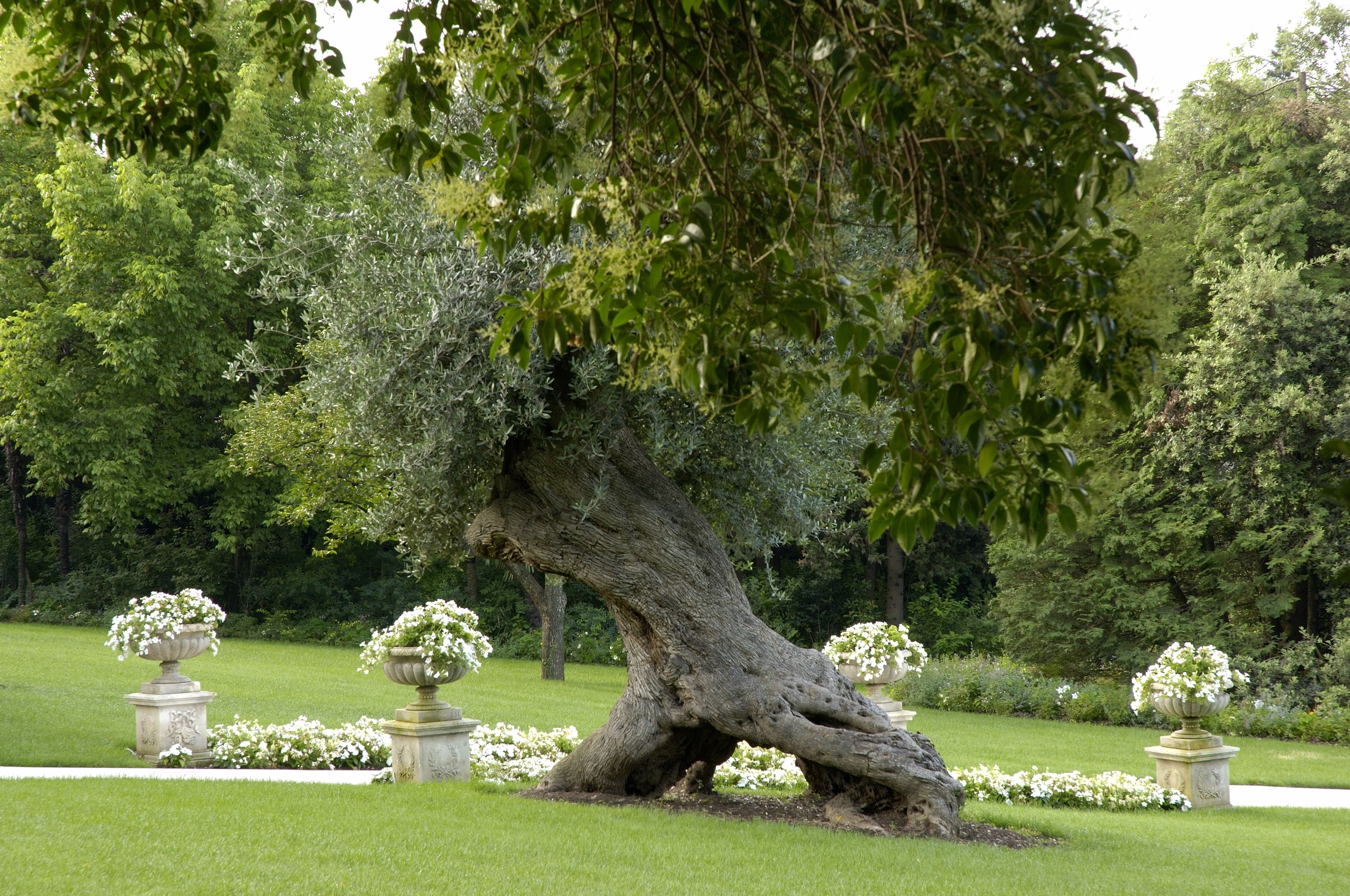 signature suite | view from room