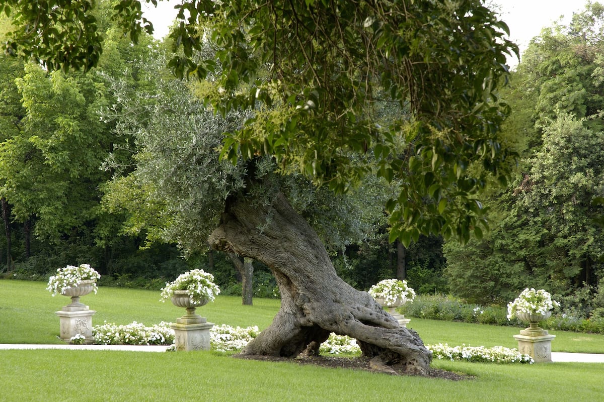 signature suite | view from room