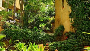 A lush indoor garden with various plants and a seating area. - Hotel Alberi del Paradiso (Cefalù)