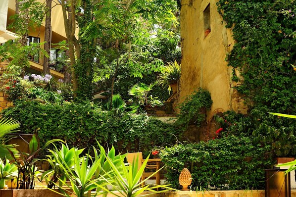A lush indoor garden with various plants and a seating area.
