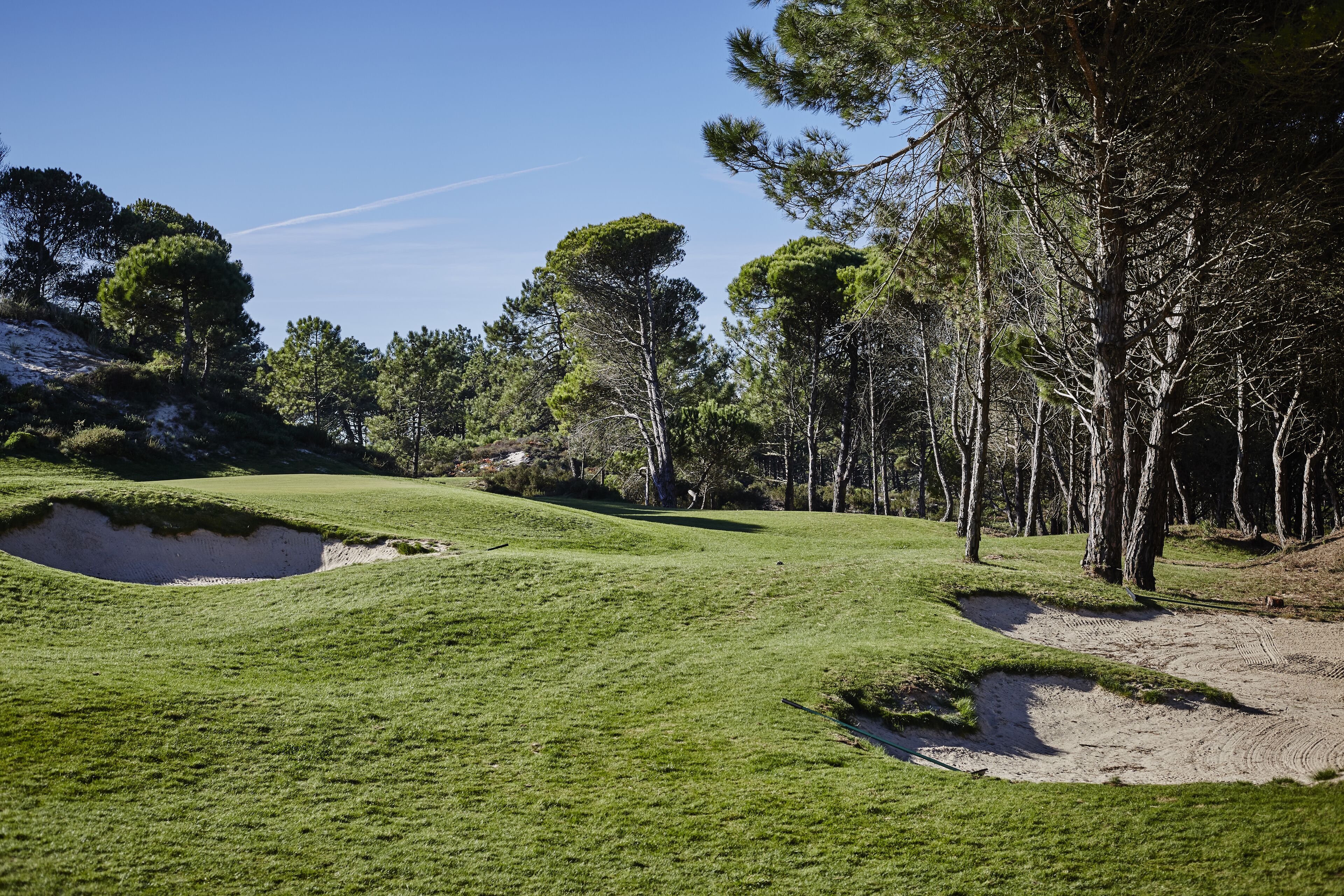 A golf course with sand bunkers, trees, and a clear sky.