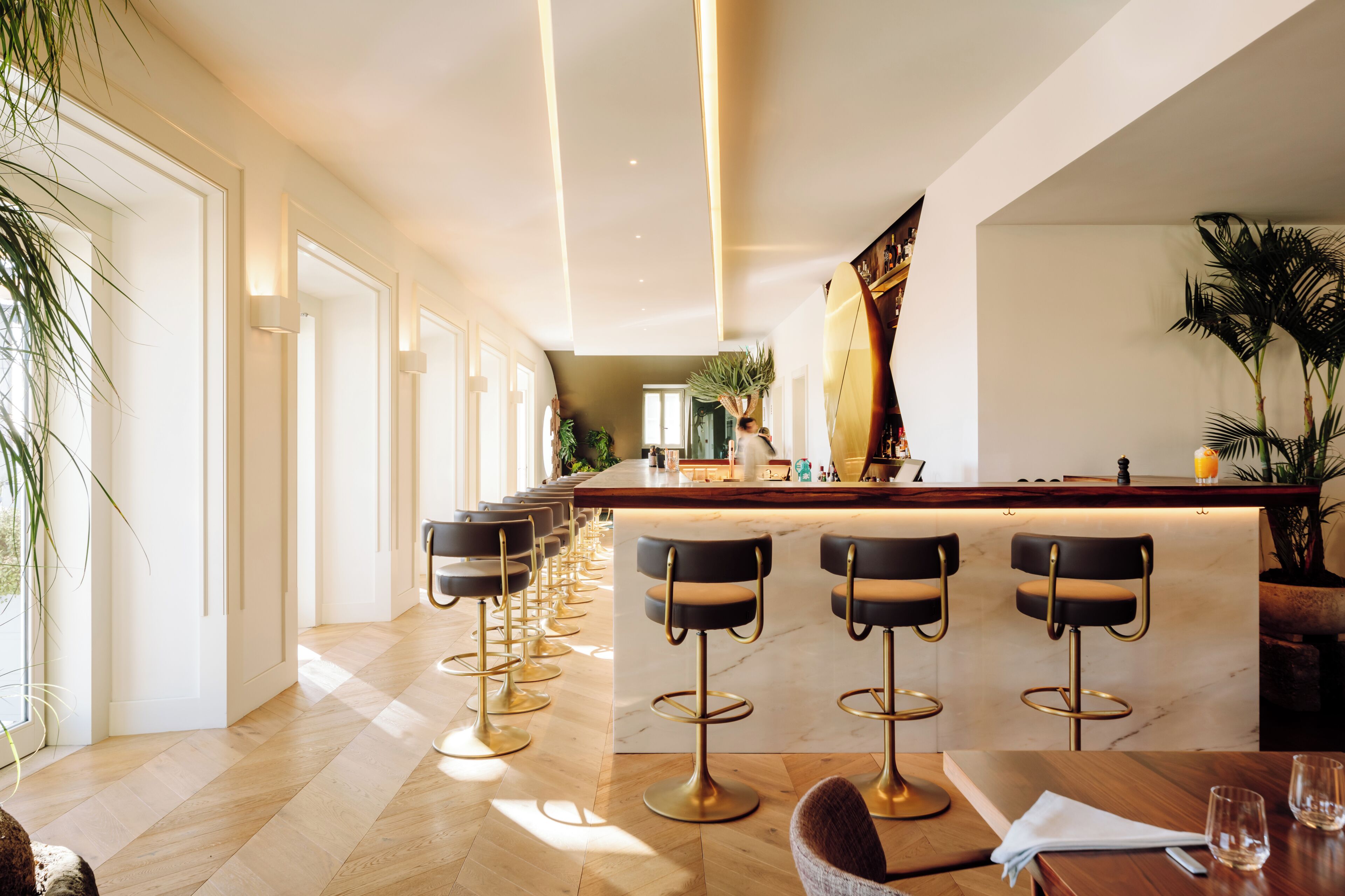 Een moderne bar met een lange toonbank, verschillende barstoelen en een potplant.