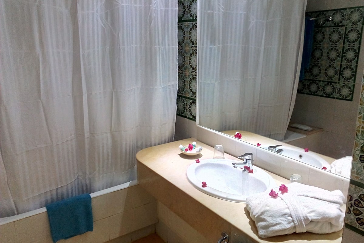Combined shower/bathtub, free toiletries, hair dryer, towels