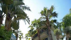 A hotel reception area with a balcony, surrounded by palm trees and banana plants. - Hotel Borgo Verde (Catania)