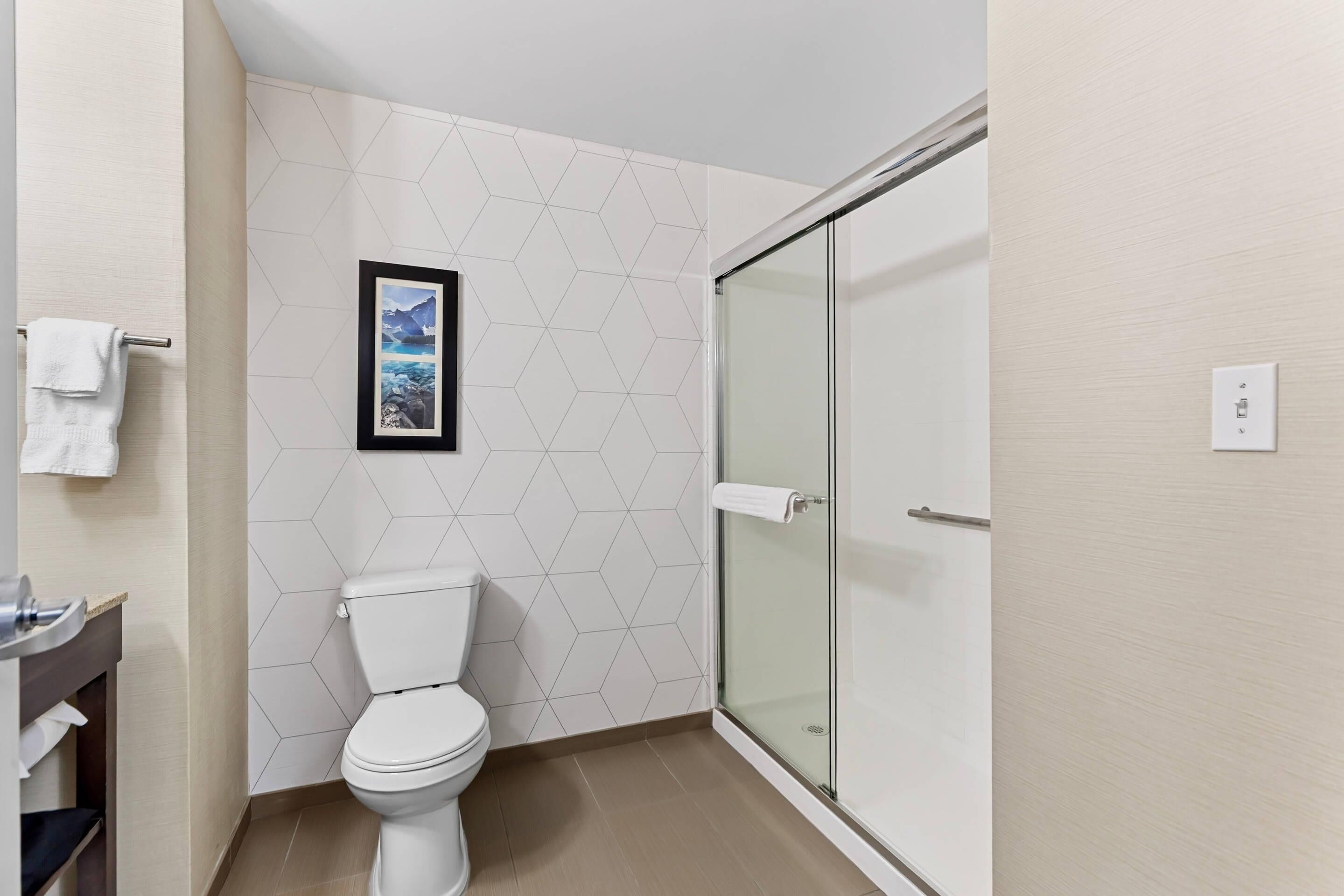 A modern bathroom with a toilet, a glass shower enclosure, and a wall-mounted picture.