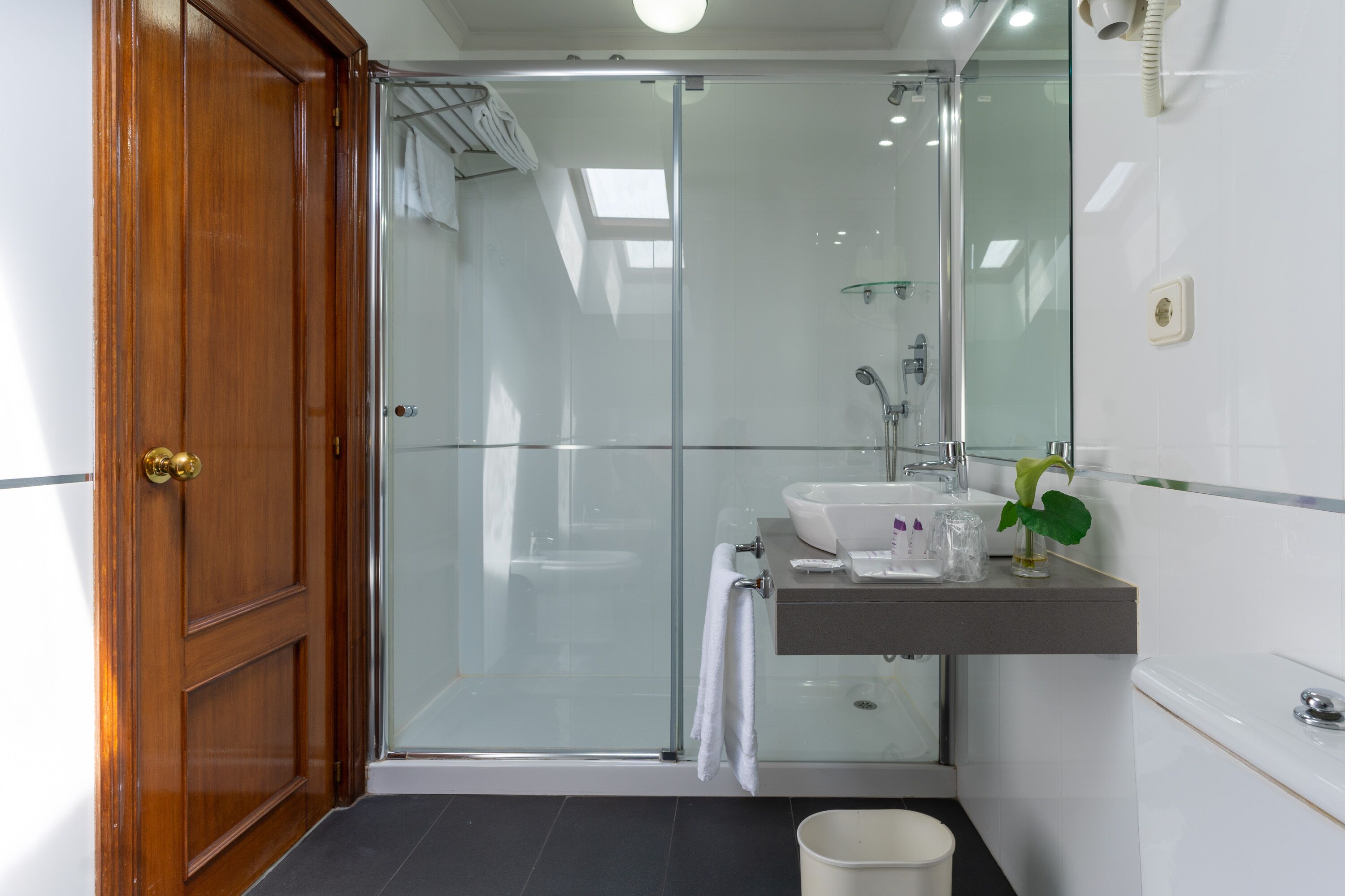 free toiletries, hair dryer, bidet, towels