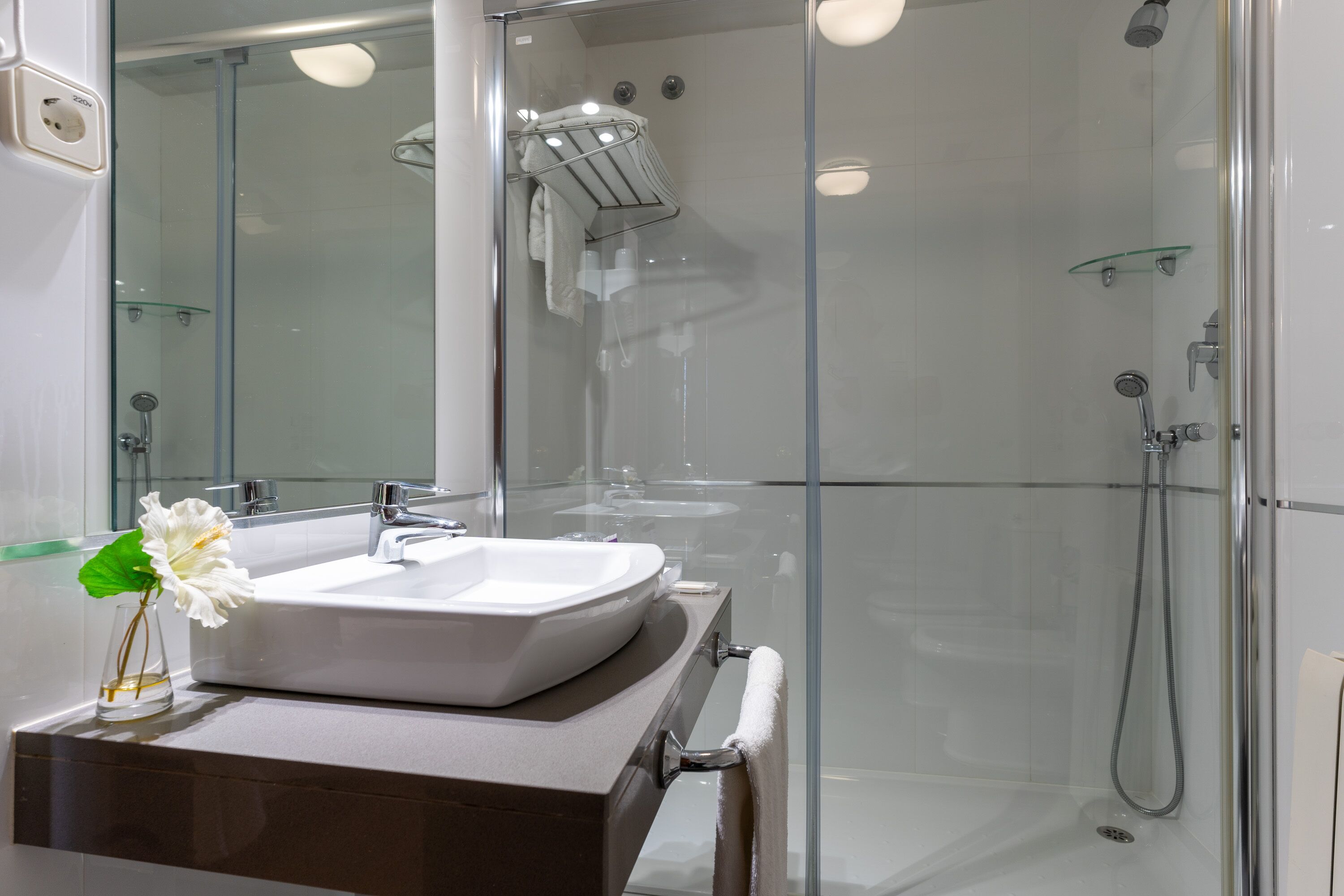 free toiletries, hair dryer, bidet, towels