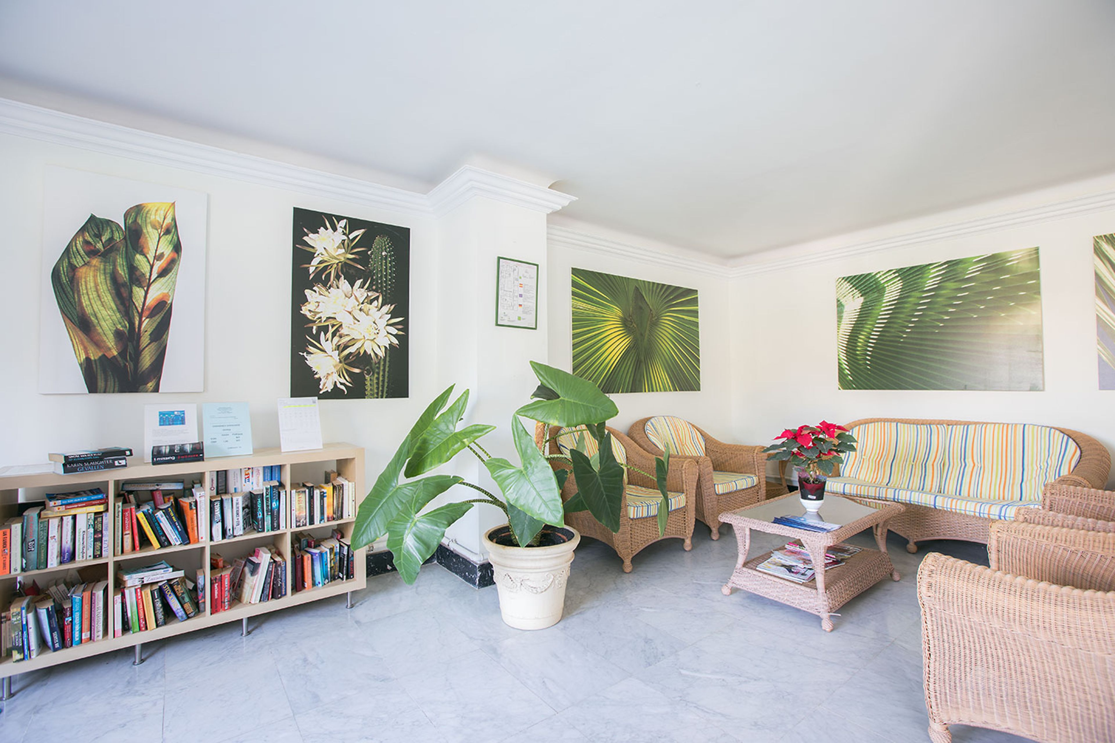 Een woonkamer met een boekenkast, een salontafel, een bank en grote potplanten.