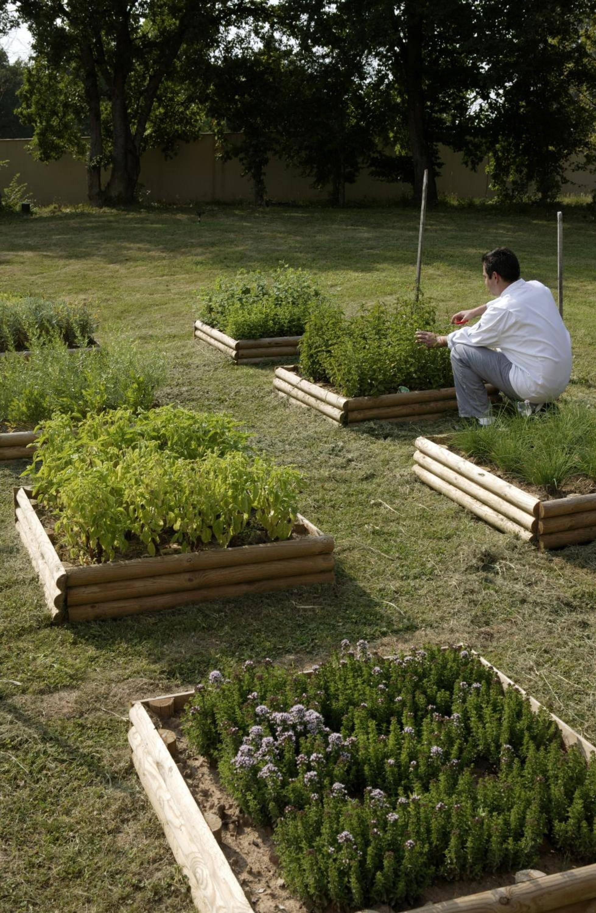 Un jardín con bancales de madera que albergan diversas plantas.