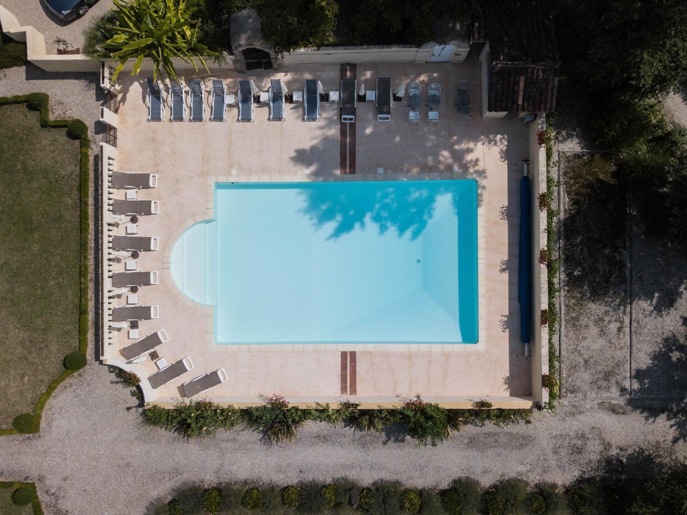 Vista aérea de una piscina con tumbonas y una palmera.