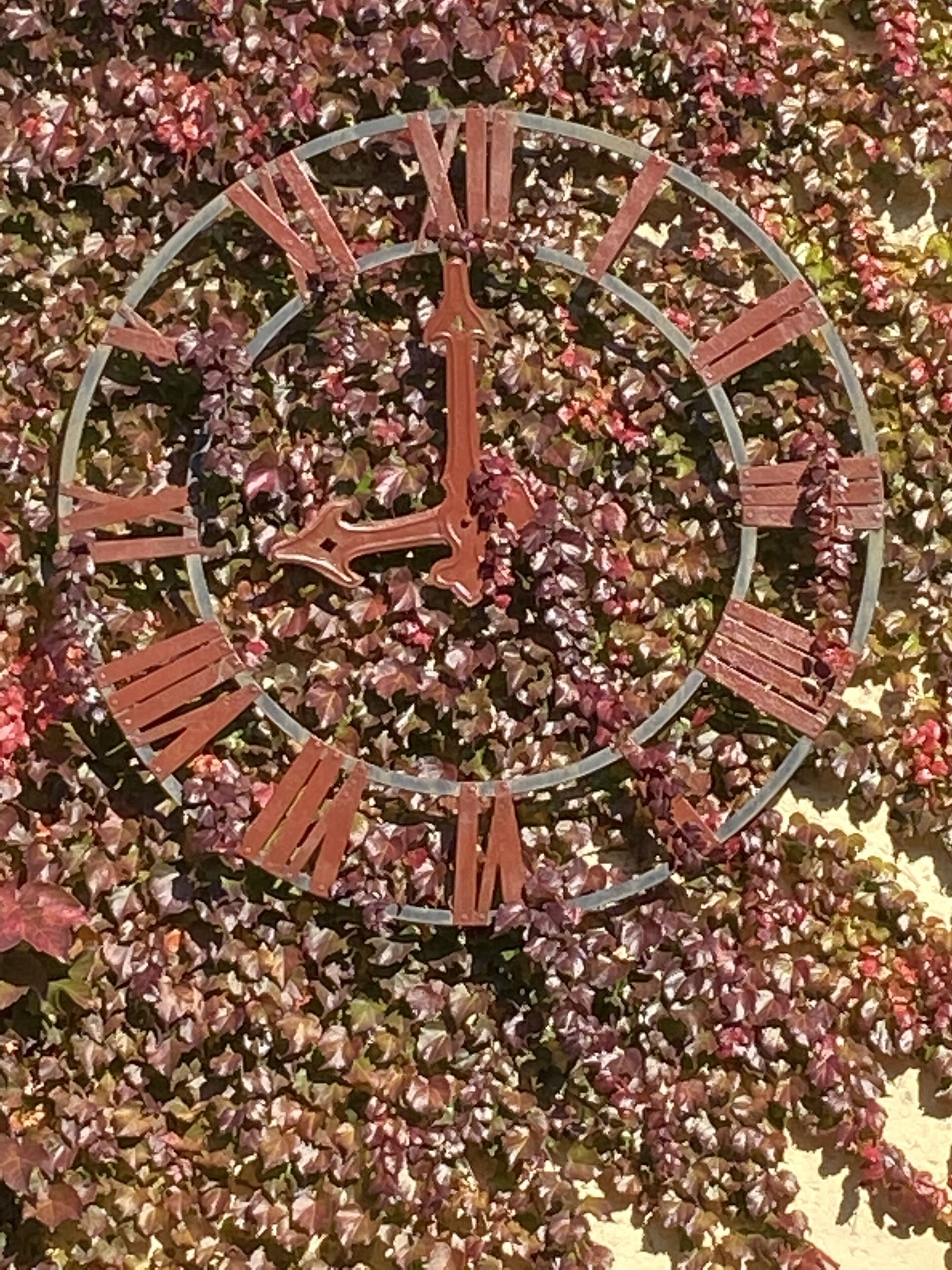 romantic double room | terrace/patio