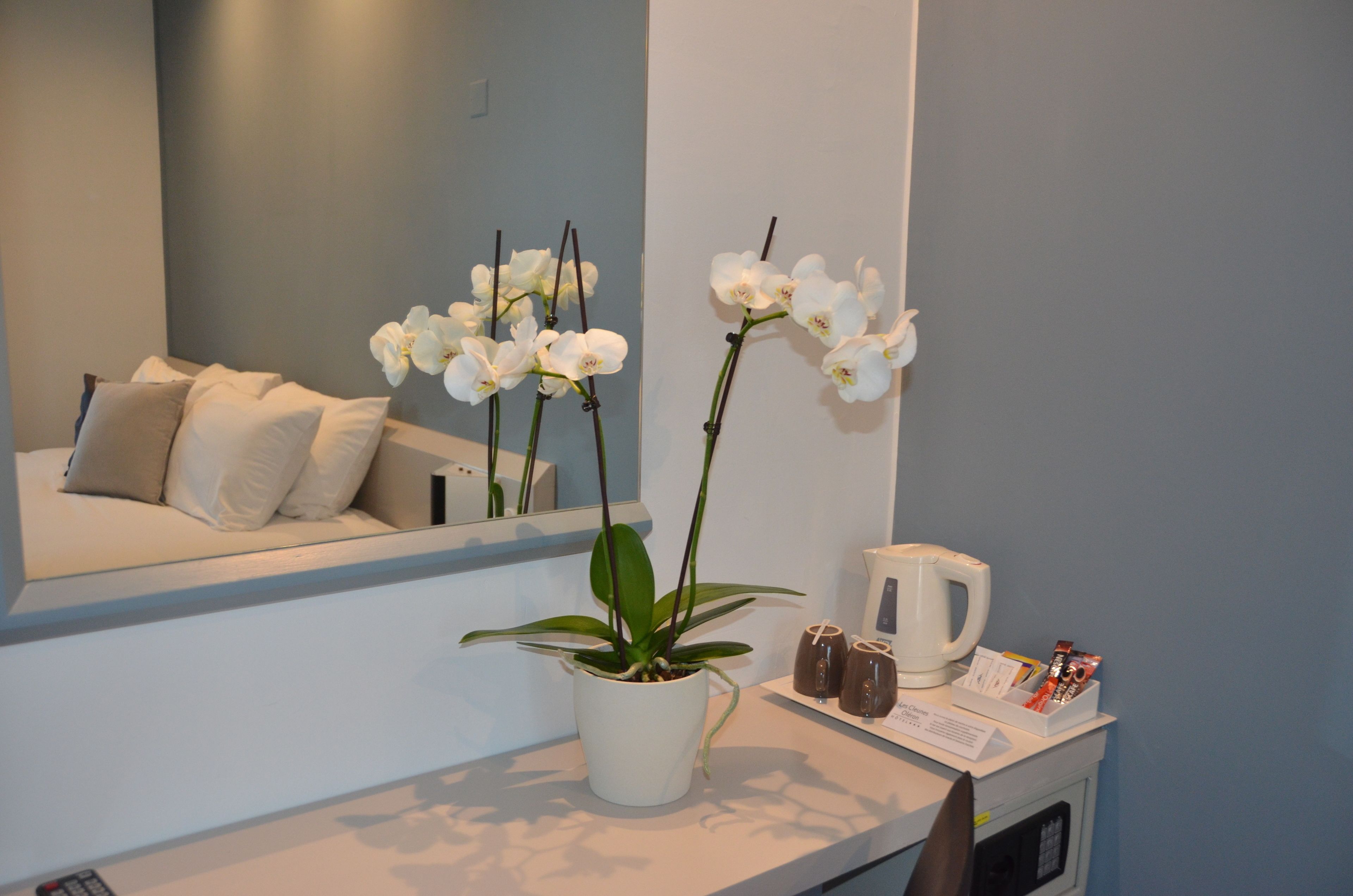 A hotel reception area with a white sofa, a potted orchid, a coffee machine, and a tray with various items.