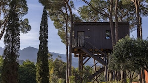 Una cabaña tipo casa del árbol, elevada sobre pilares en medio de árboles altos, con vistas a montañas distantes.