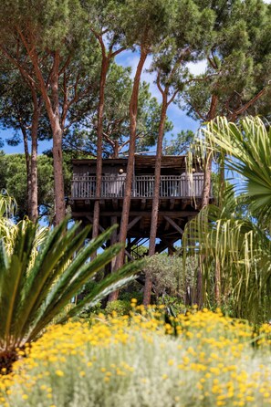 Deluxe Cabin, 1 Double Bed, Mountain View | Terrace/patio