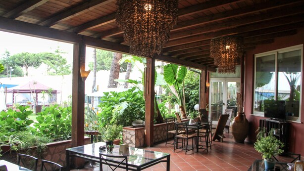 Un patio al aire libre con mesas y sillas, rodeado de plantas en macetas y vistas al verdor.