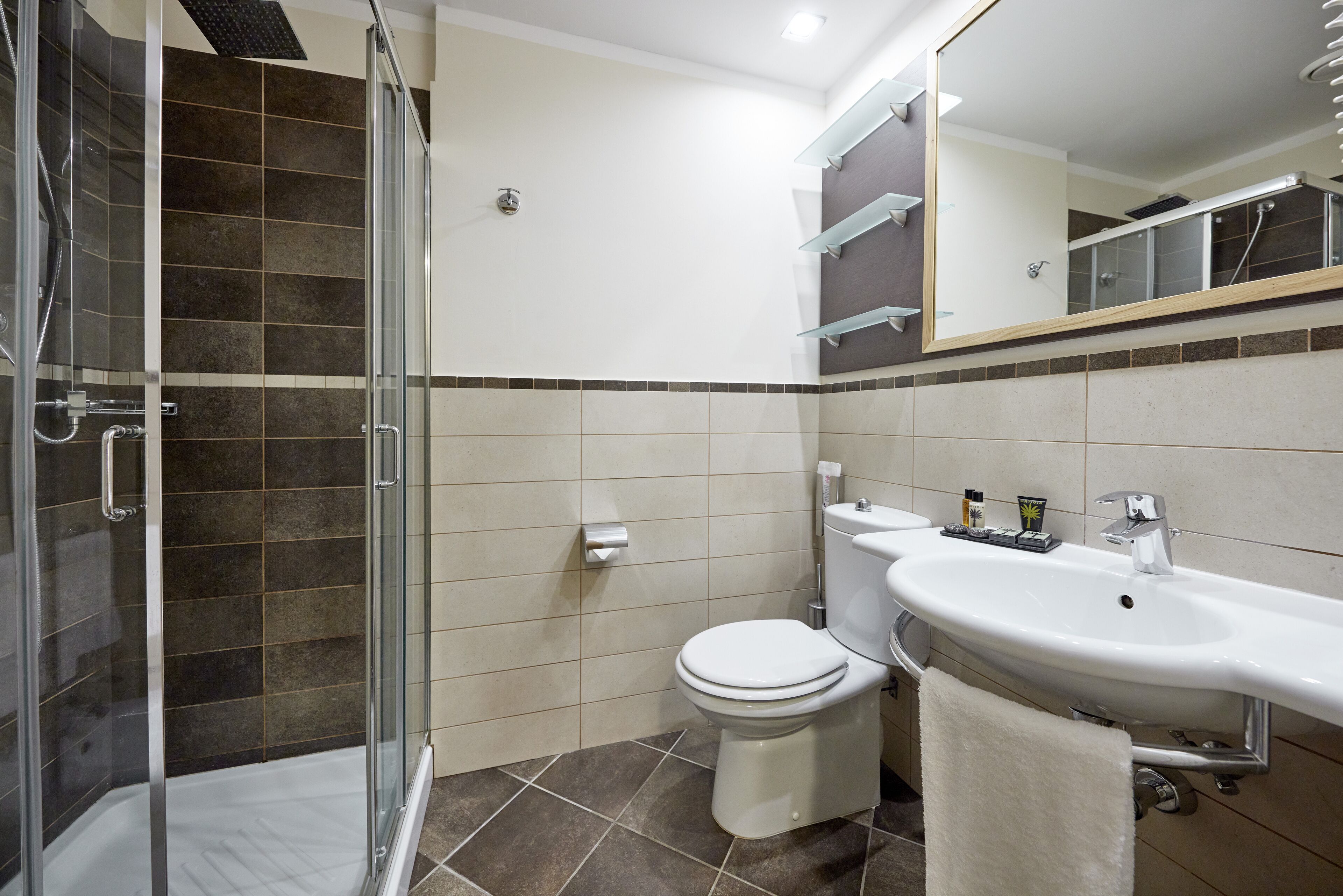 superior double room | bathroom | shower, free toiletries, hair dryer, towels
