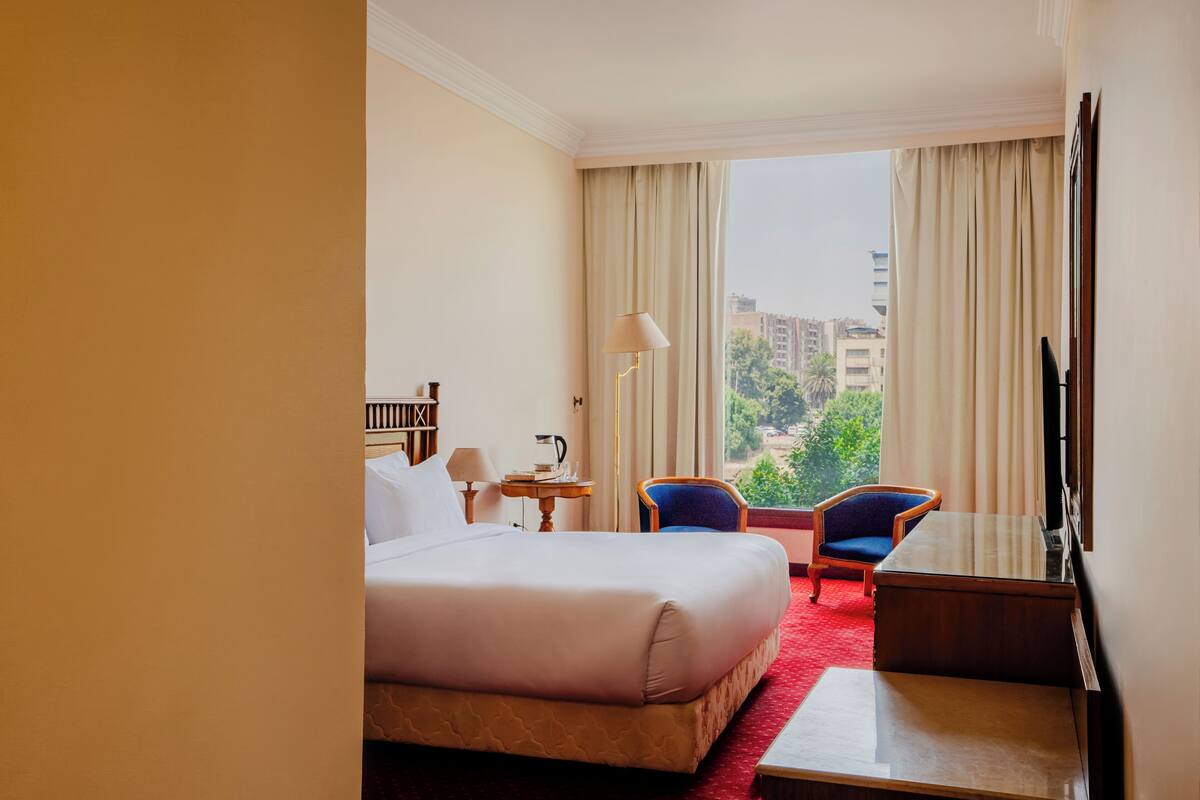 A hotel room with a large bed, a desk, a chair, a TV, and a view of buildings and trees through the window.