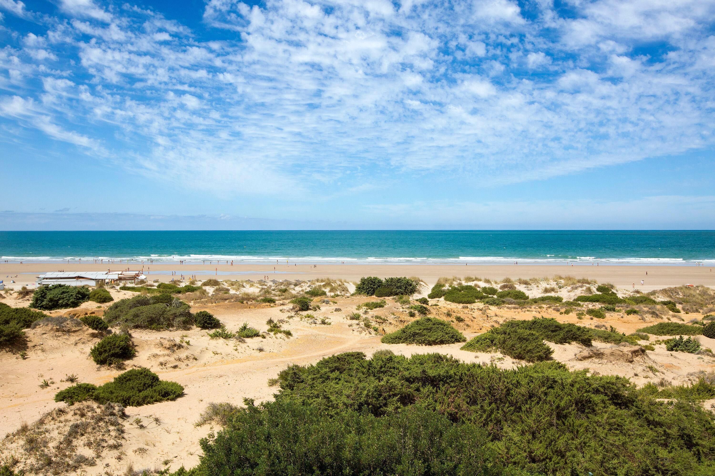 Una platja amb dunes i vegetació escassa, un cel clar i un mar tranquil.