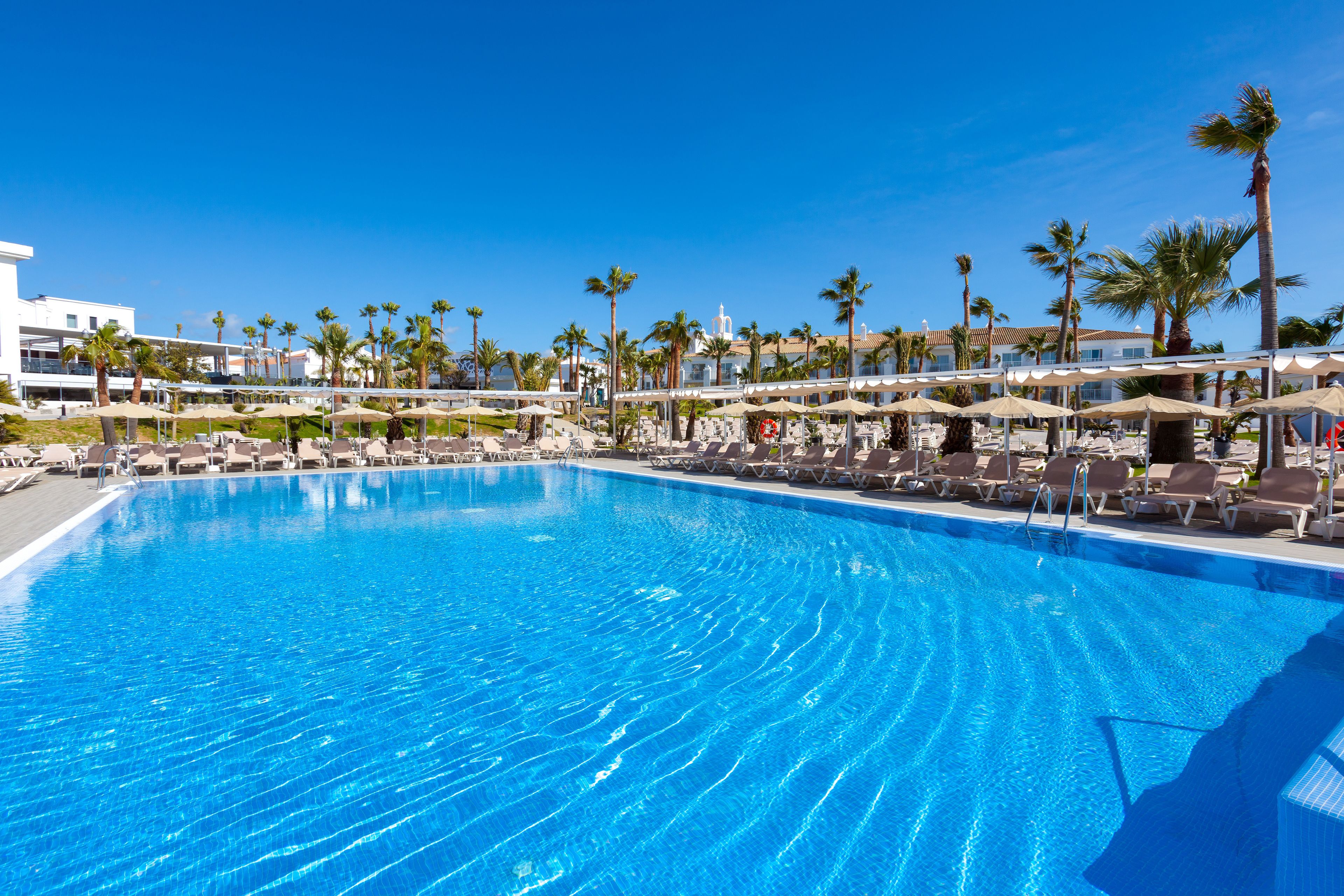 A large swimming pool with lounge chairs and umbrellas, surrounded by palm trees and a clear blue sky.