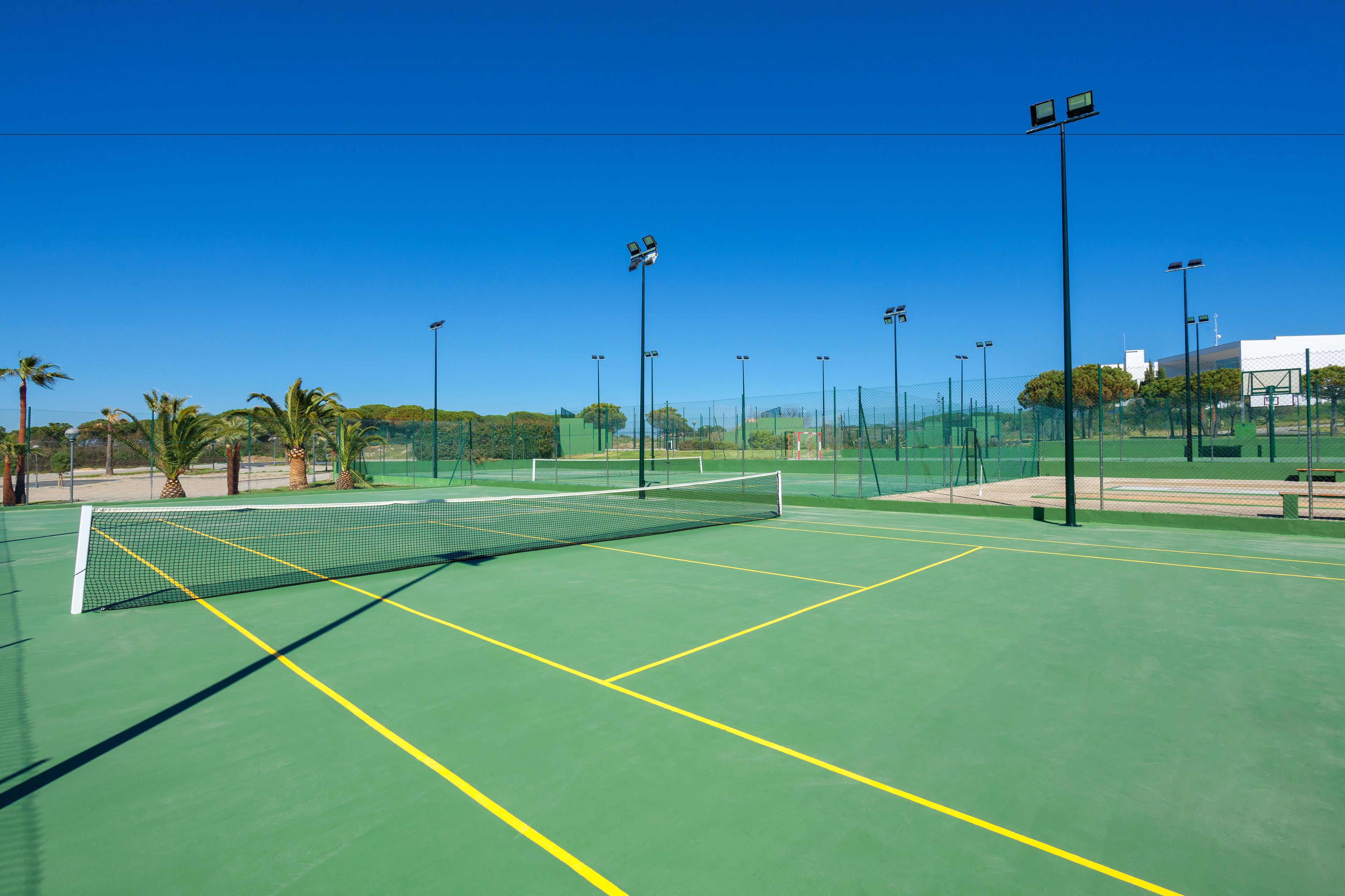 A tennis court with a net, surrounded by a fence, and palm trees in the background.