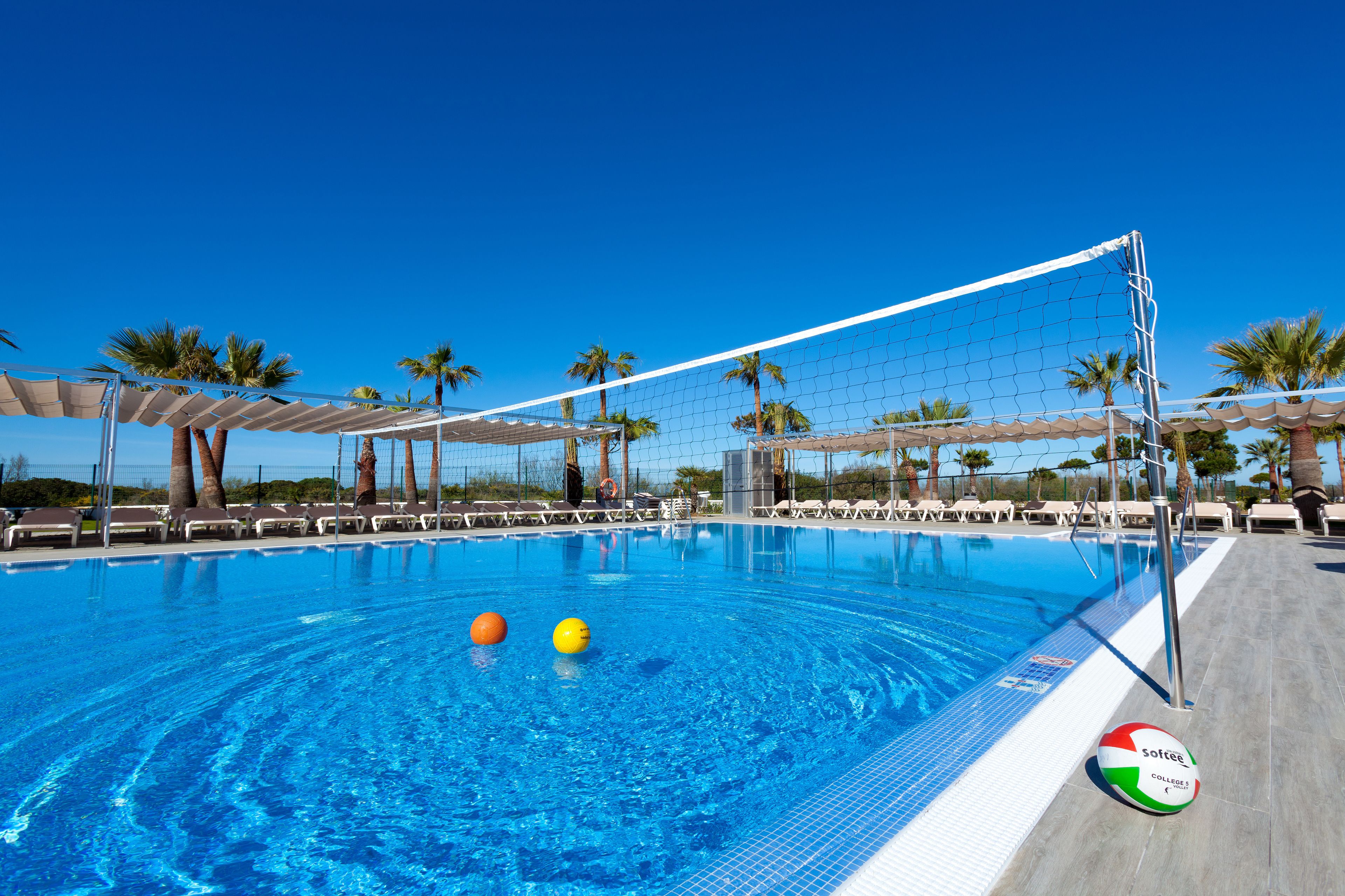 Una piscina con una red de voleibol, sillas de descanso y palmeras.