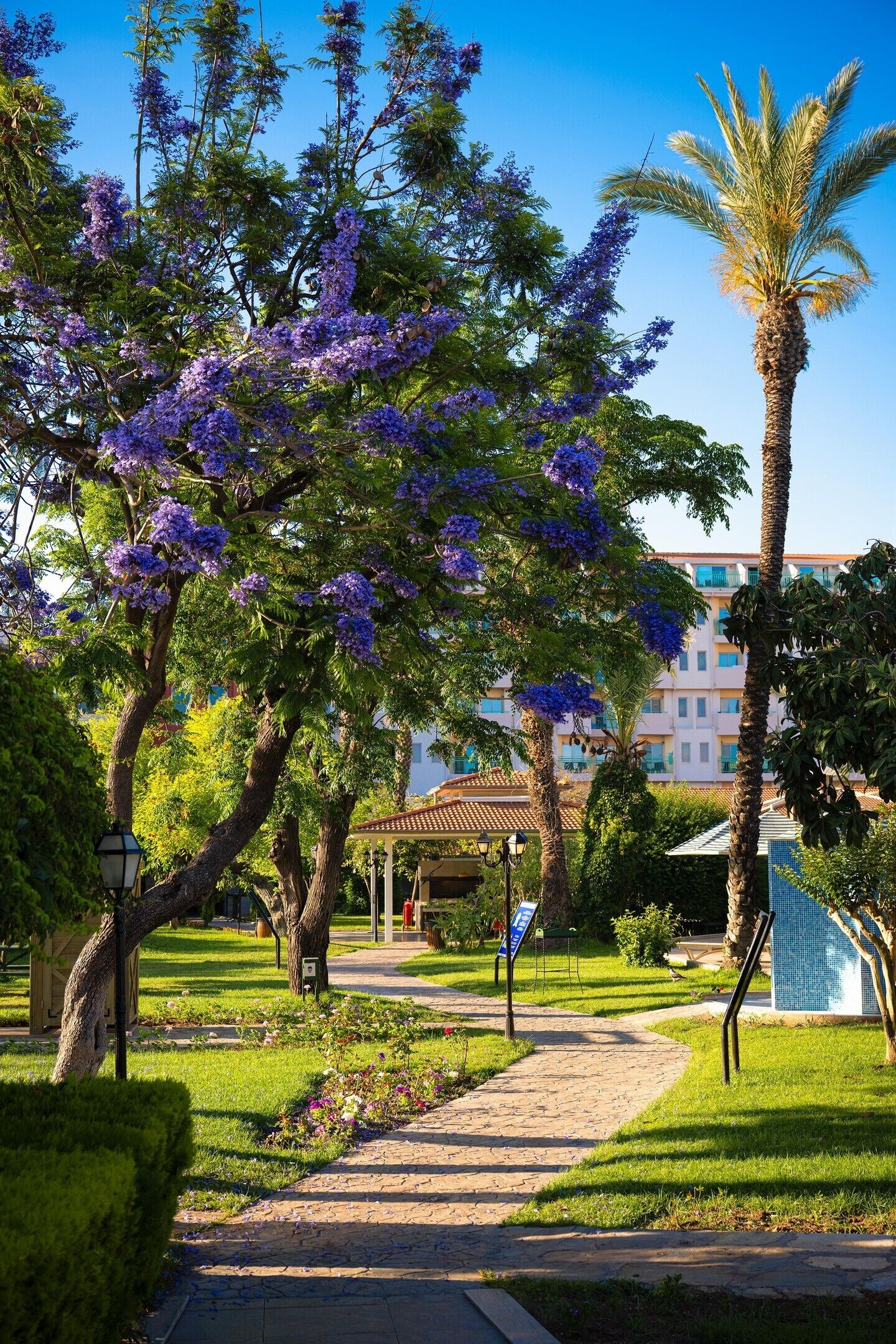 A pathway leading to a building with a covered patio area, surrounded by lush greenery and flowering trees.
