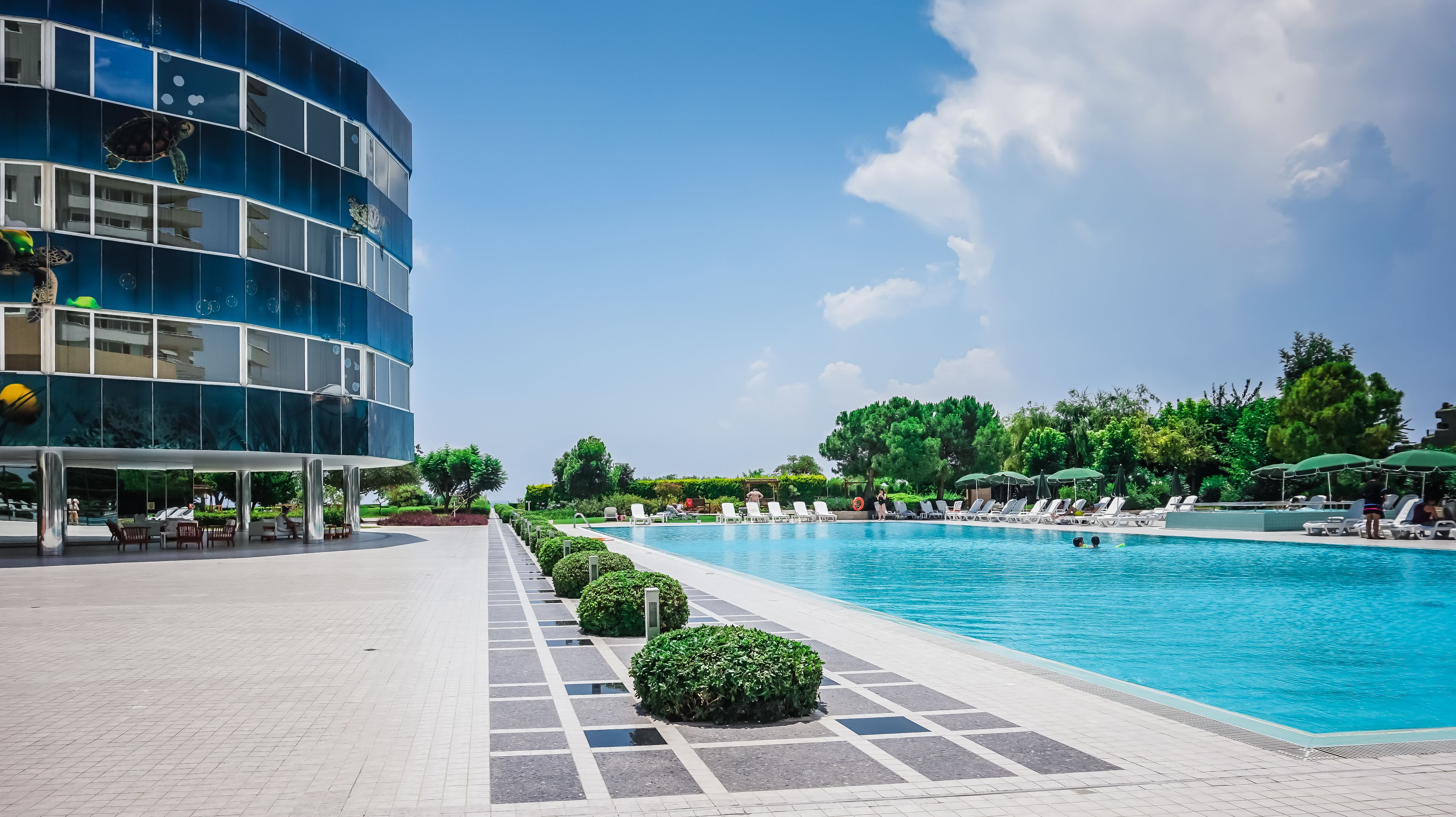 outdoor pool, pool umbrellas, pool loungers