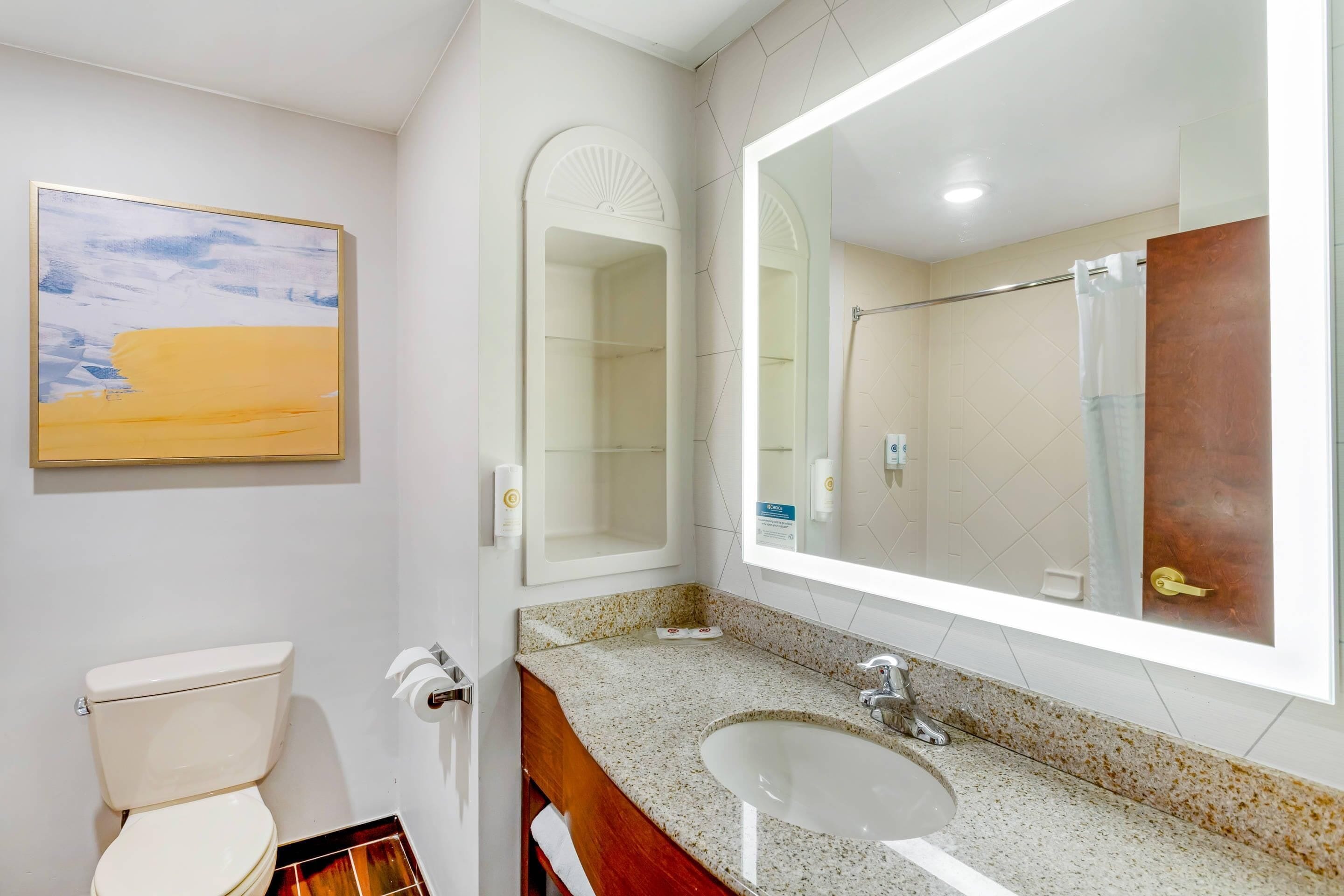 A bathroom with a toilet, sink, mirror, and a framed painting on the wall.