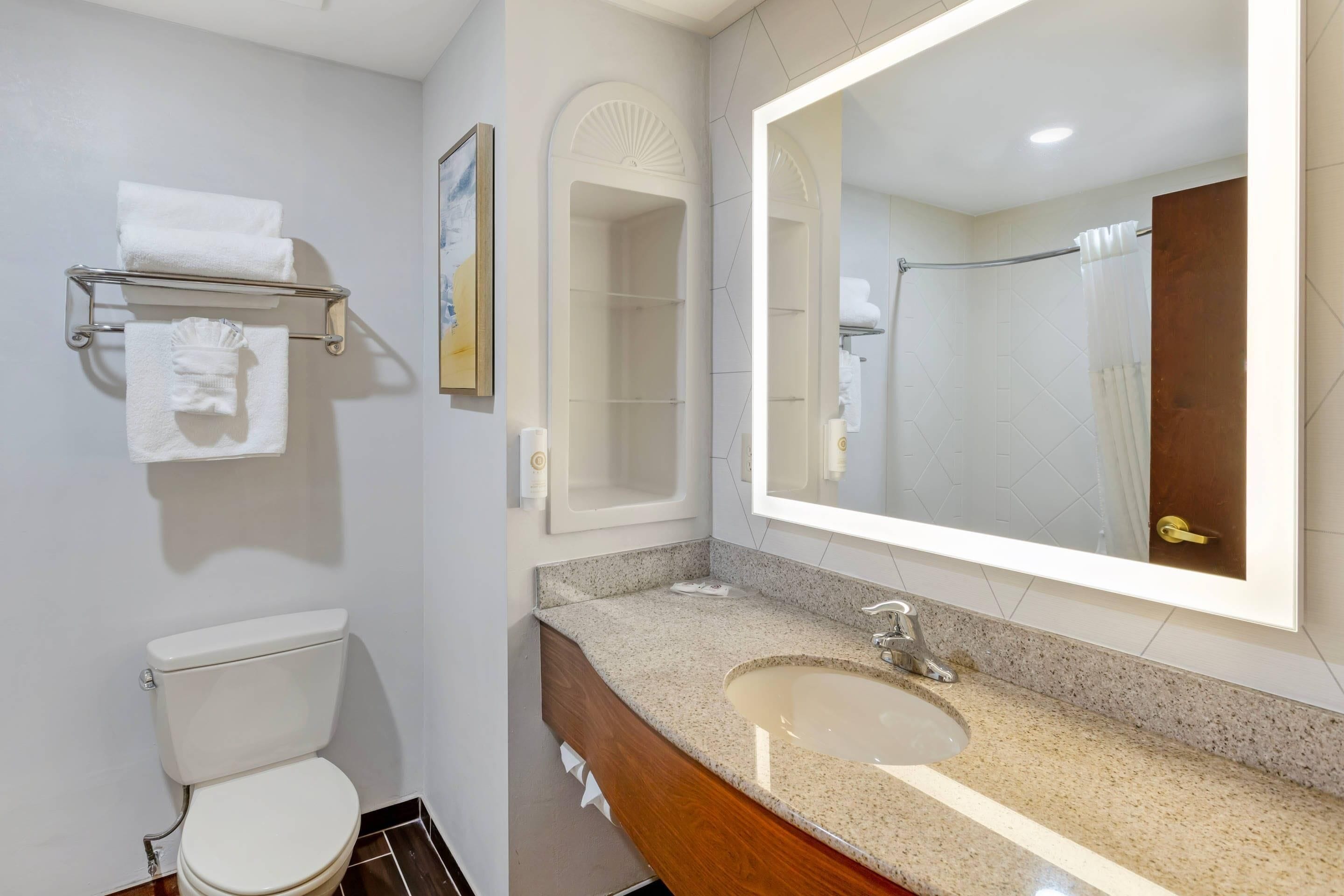 A bathroom with a toilet, sink, and large mirror. There is a towel rack with towels and a shower curtain.