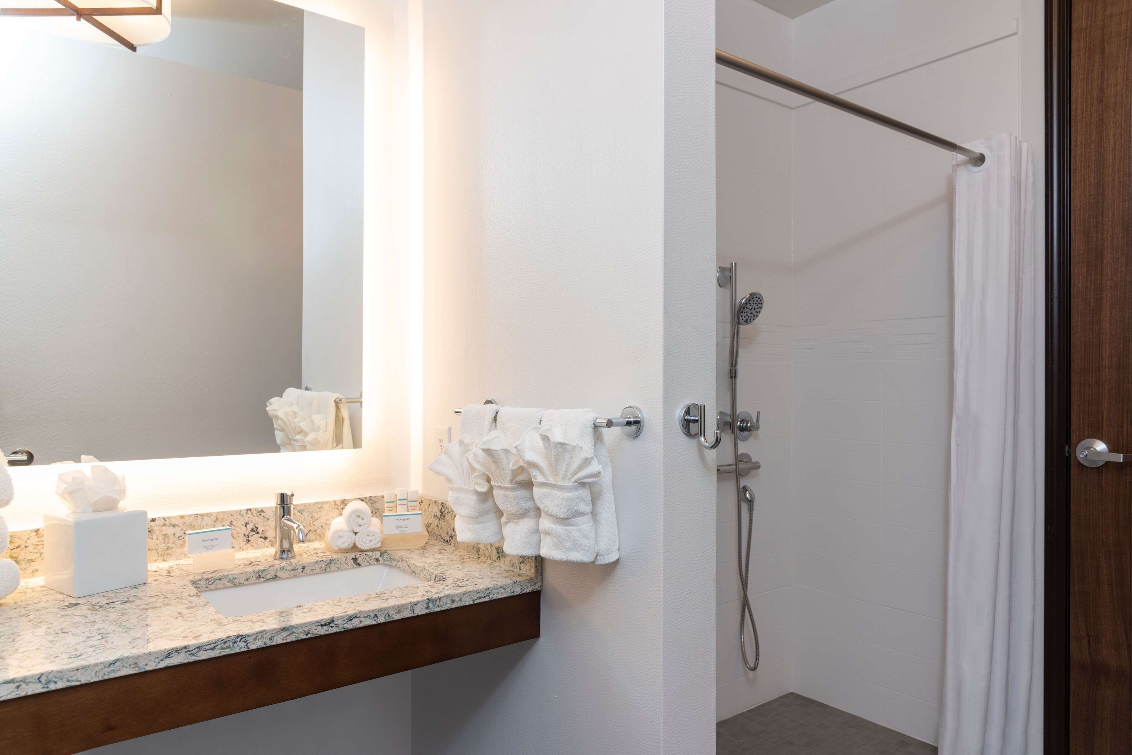 studio, accessible, non smoking | bathroom shower