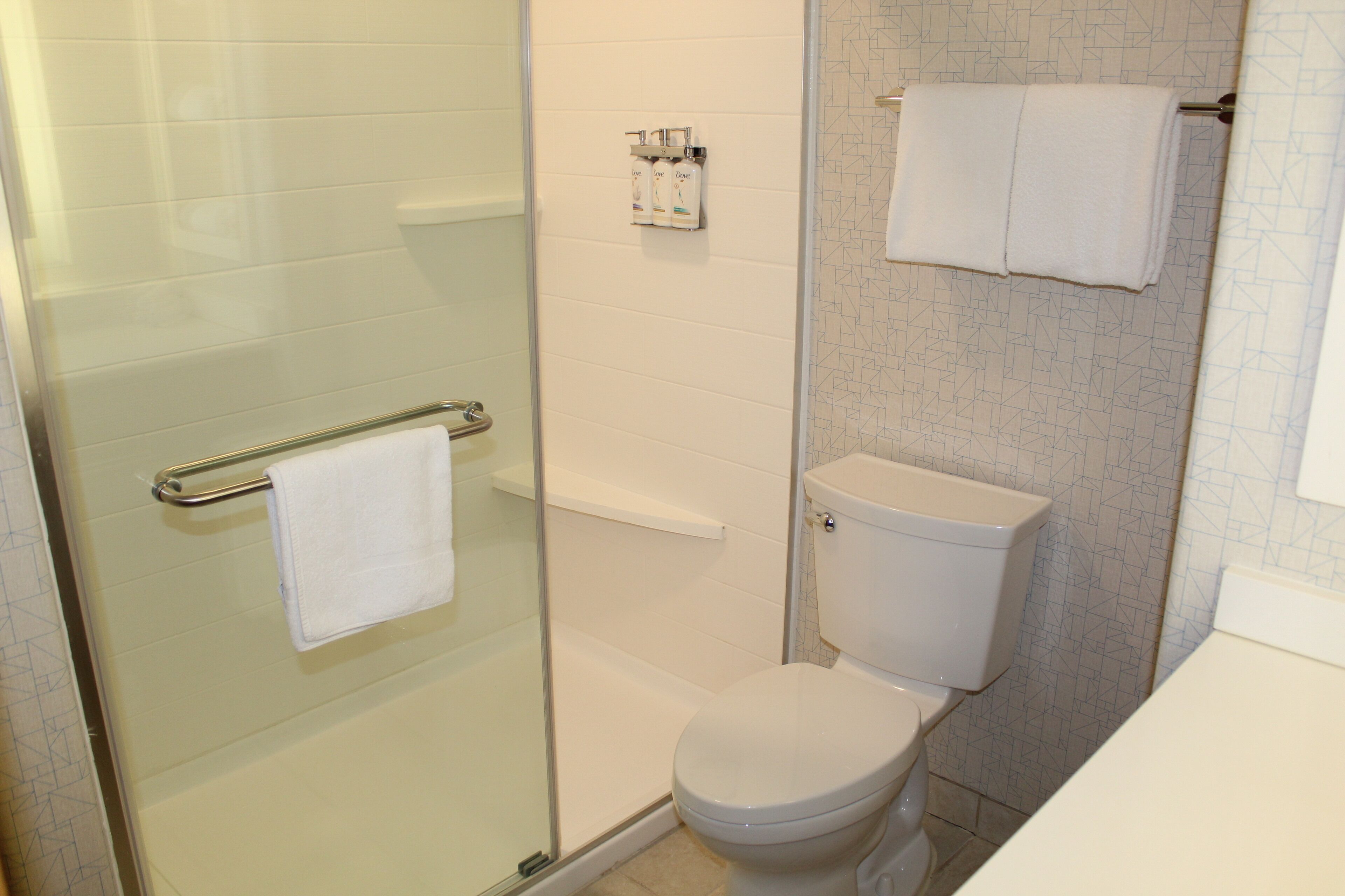 Un baño con cabina de ducha de vidrio, inodoro y toallero.