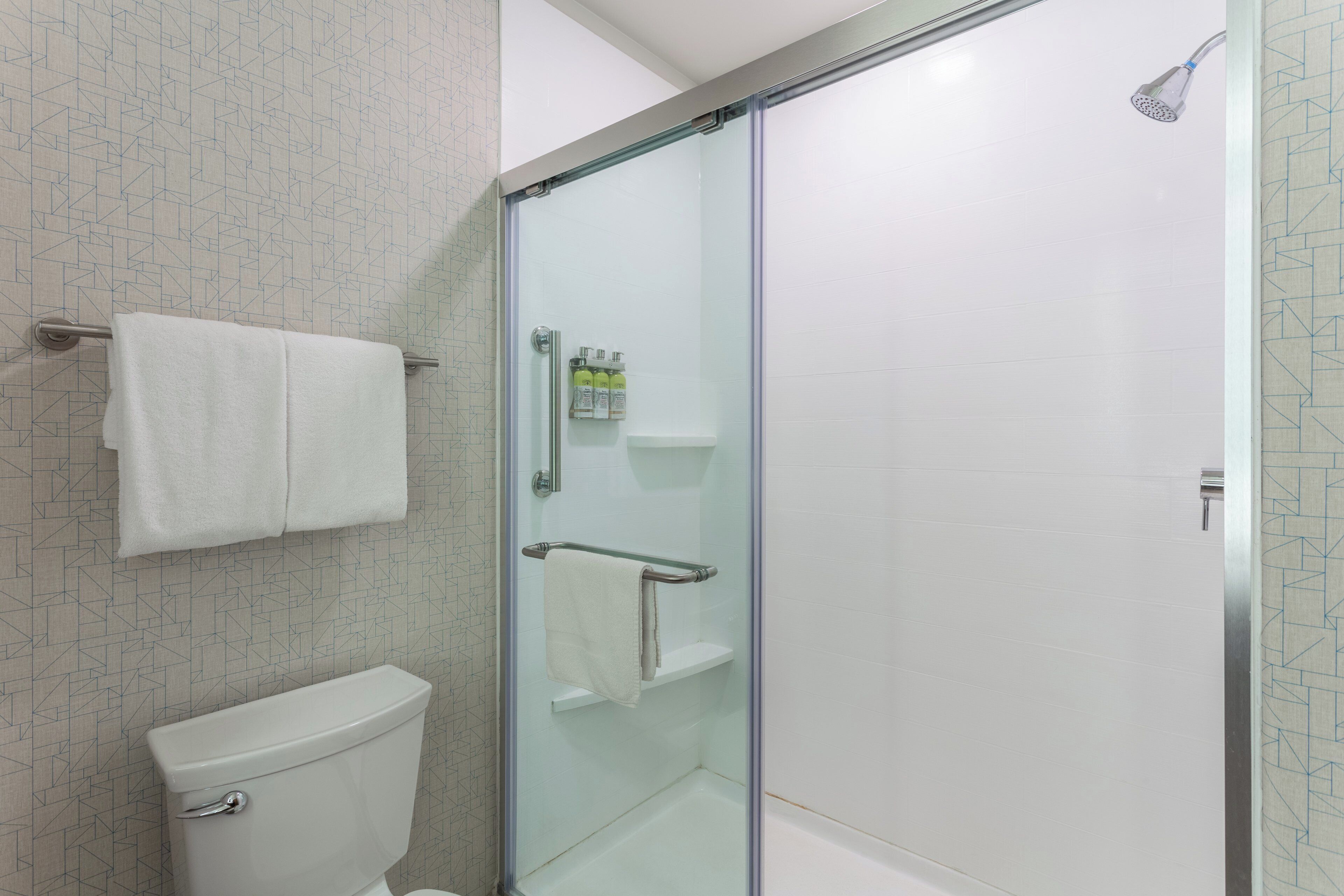 A bathroom with a glass-enclosed shower, a toilet, and a towel rack.